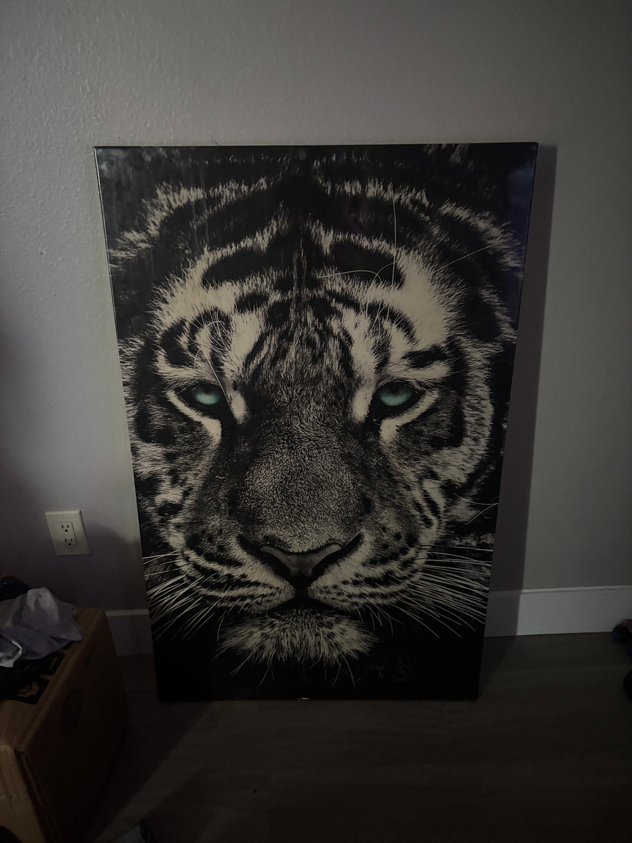 Tiger Face Wall Art Canvas