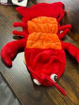 Hyde and Eek! Lobster Dog Costume Red Small - Image 2
