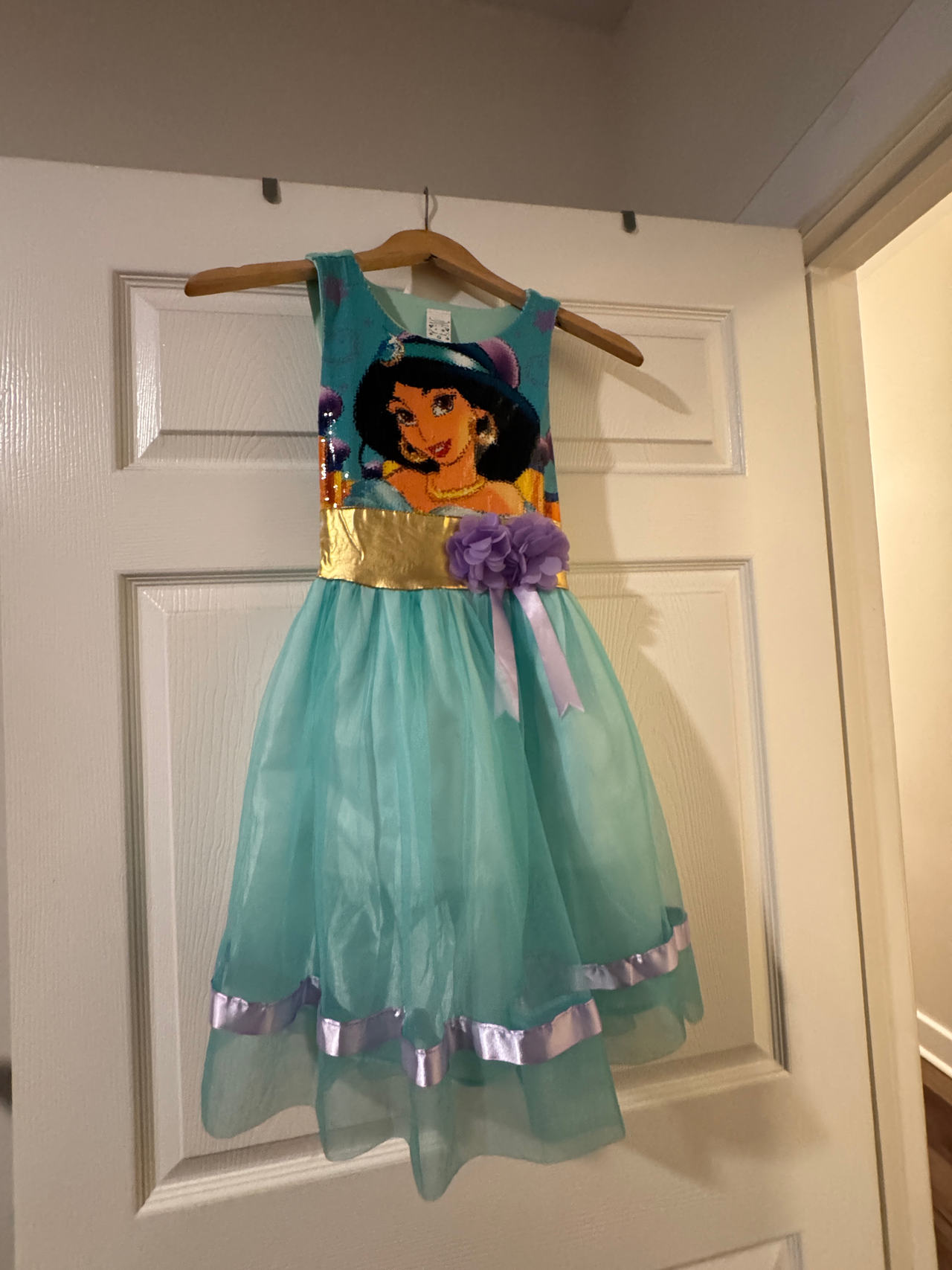Disney Princess Jasmine Dress