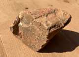 Petrified Wood Raw Specimen - Image 3
