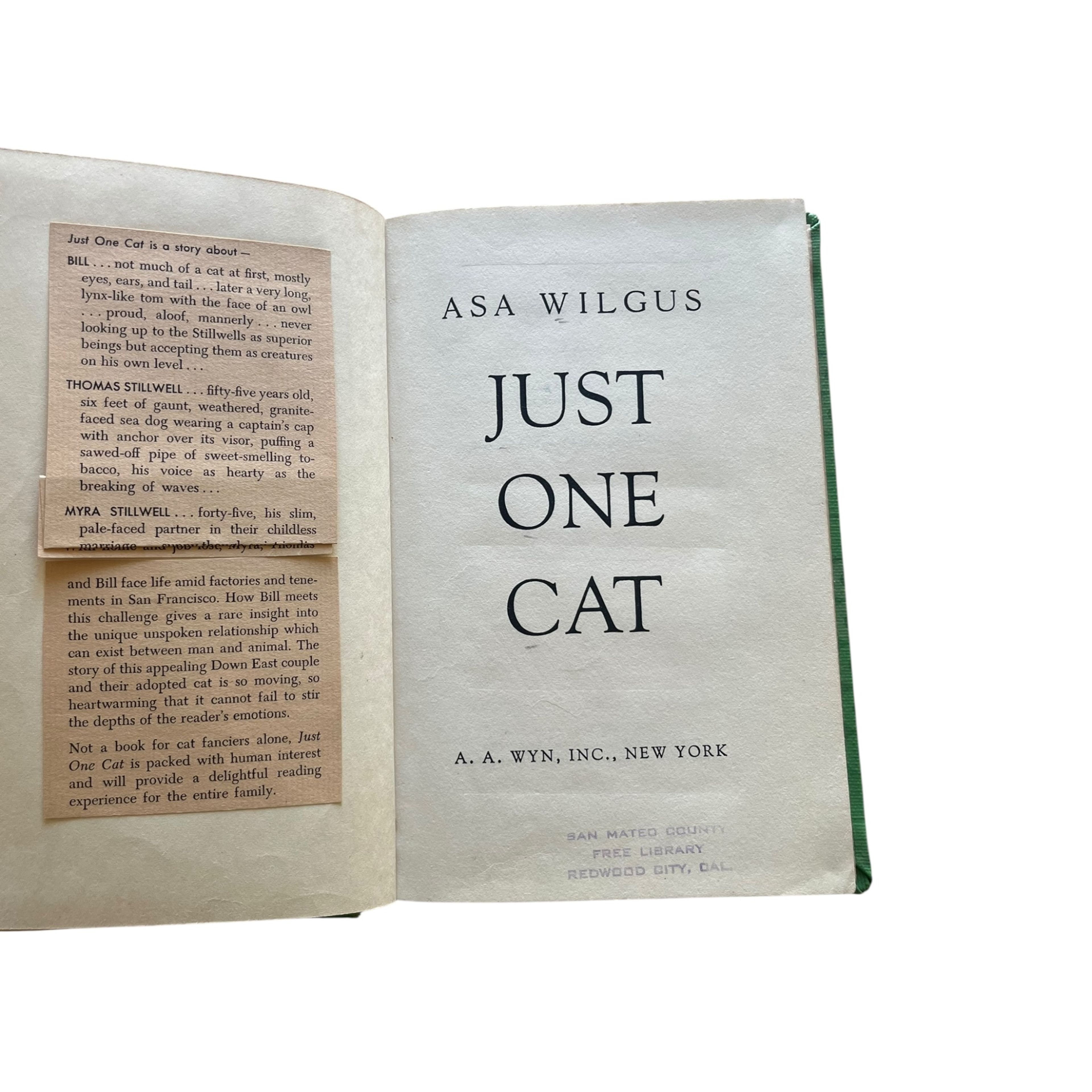 Just One Cat by Asa Wilgus - Image 6