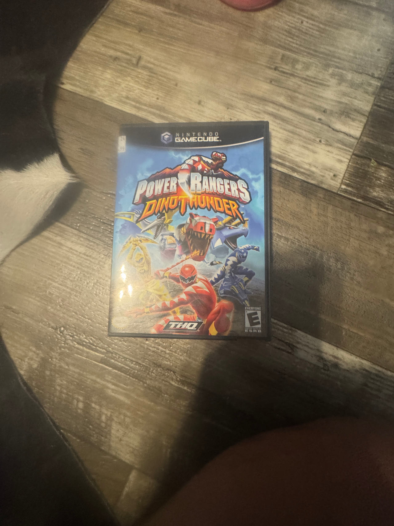 Power Rangers: Dino Thunder