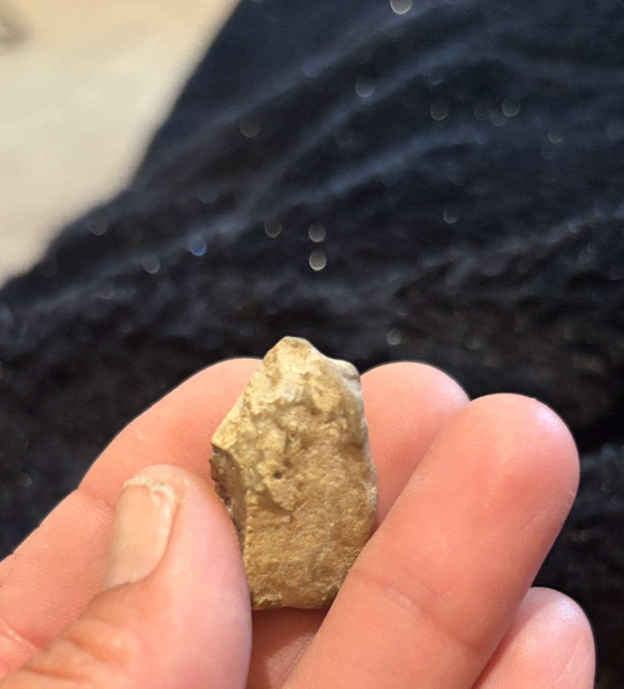 Native American Stone Arrowhead / Projectile Point