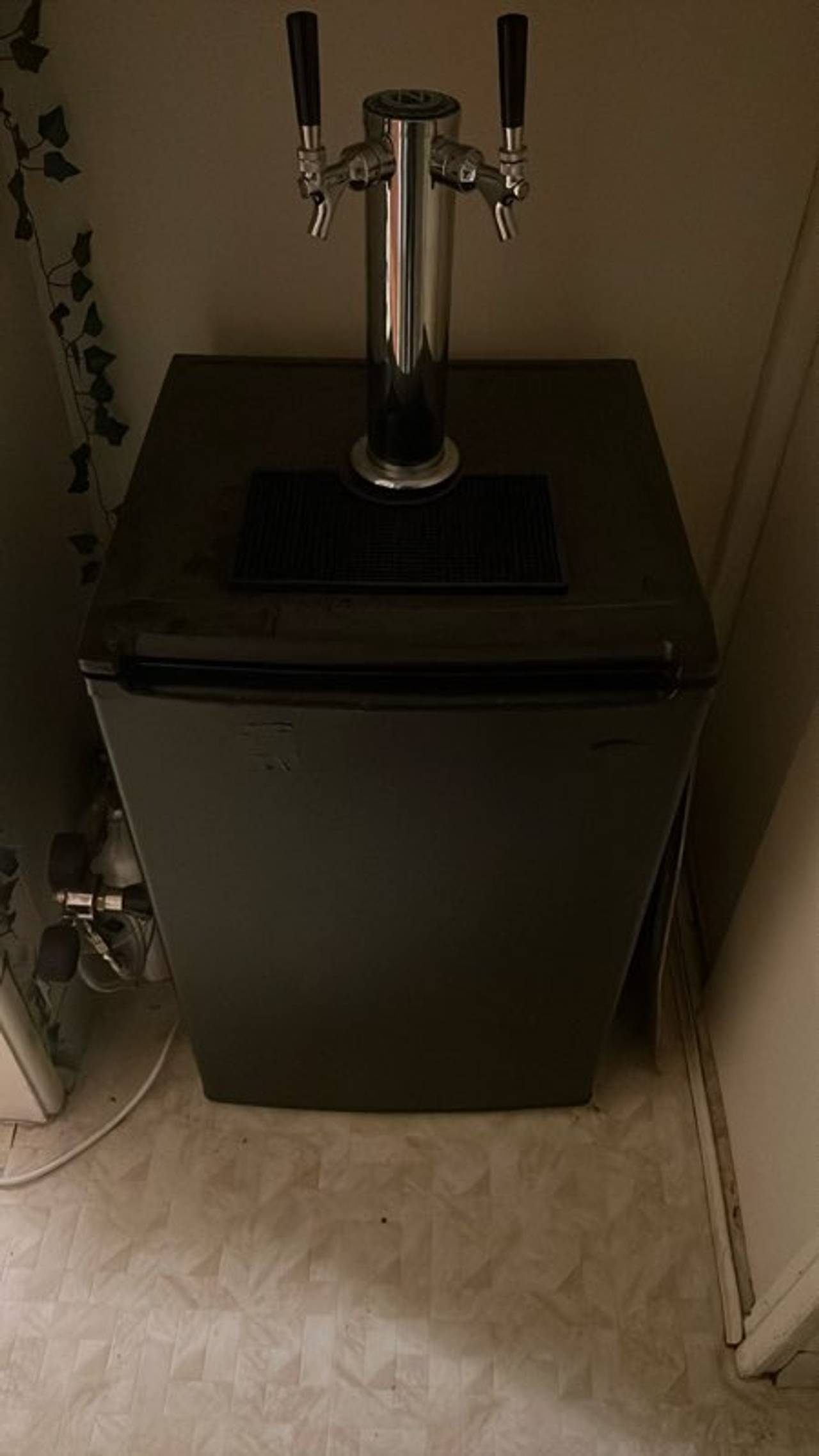 Kegerator with CO2 and Cornelius Kegs