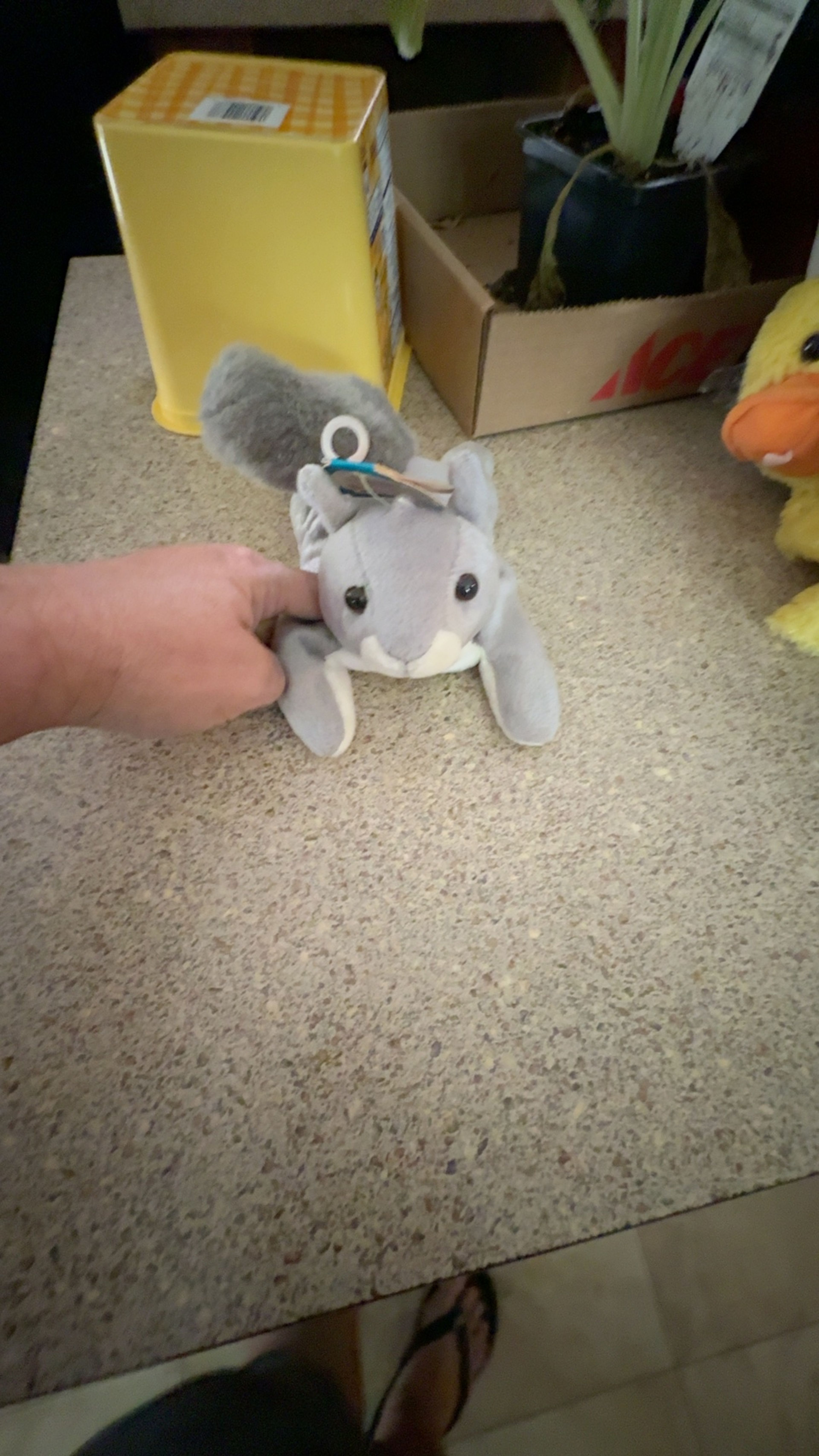 Miyoni Gray Squirrel Plush 8-inch