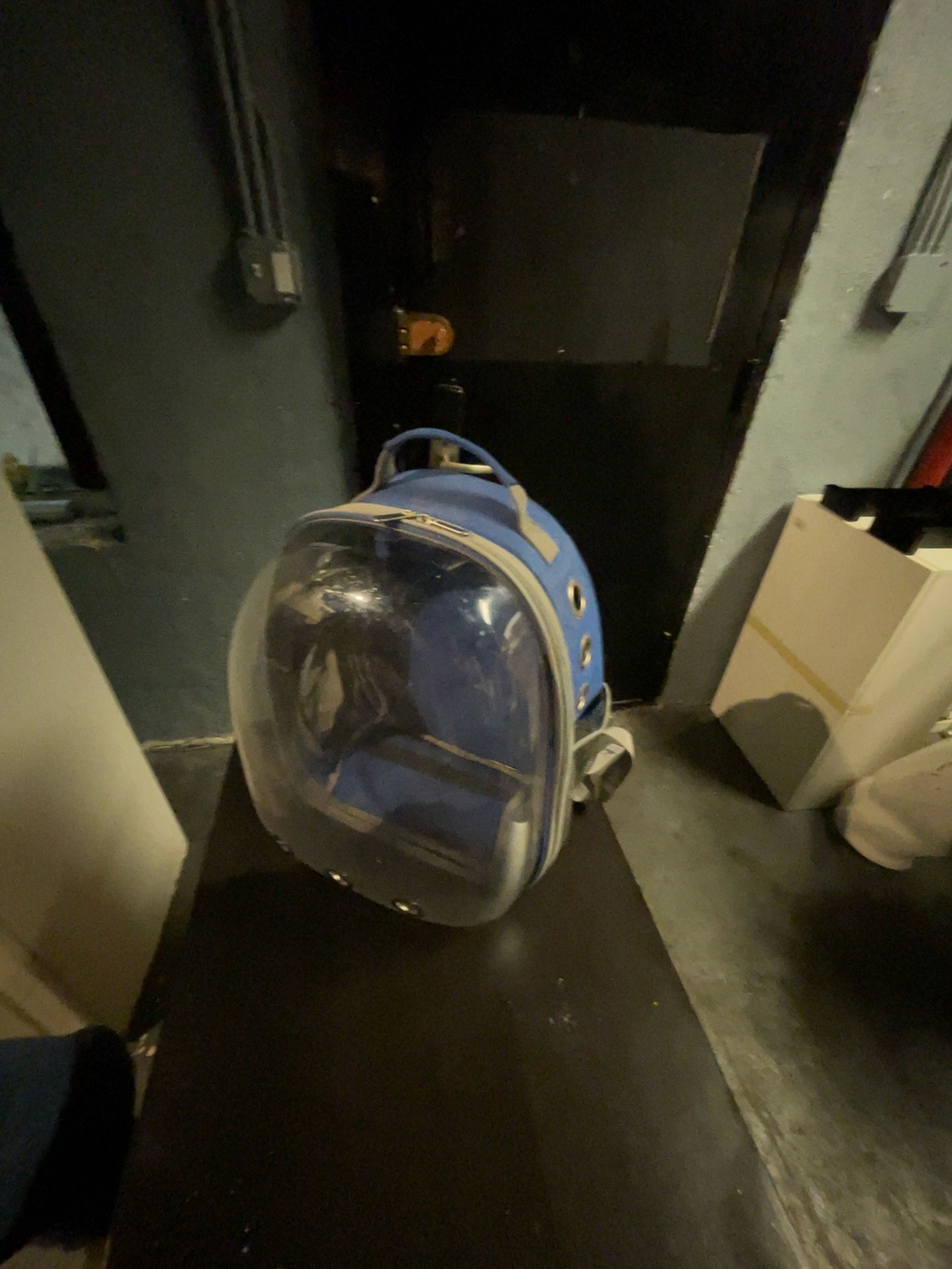 Blue Space Capsule Astronaut Pet Carrier Backpack