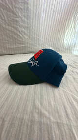 Dale Earnhardt Jr. #88 Signature Navy/Green Hat - Image 2