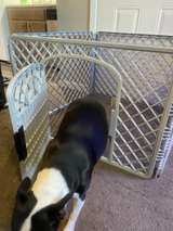 North States MyPet Petyard Passage 6-Panel Dog Playpen with Door - Image 4