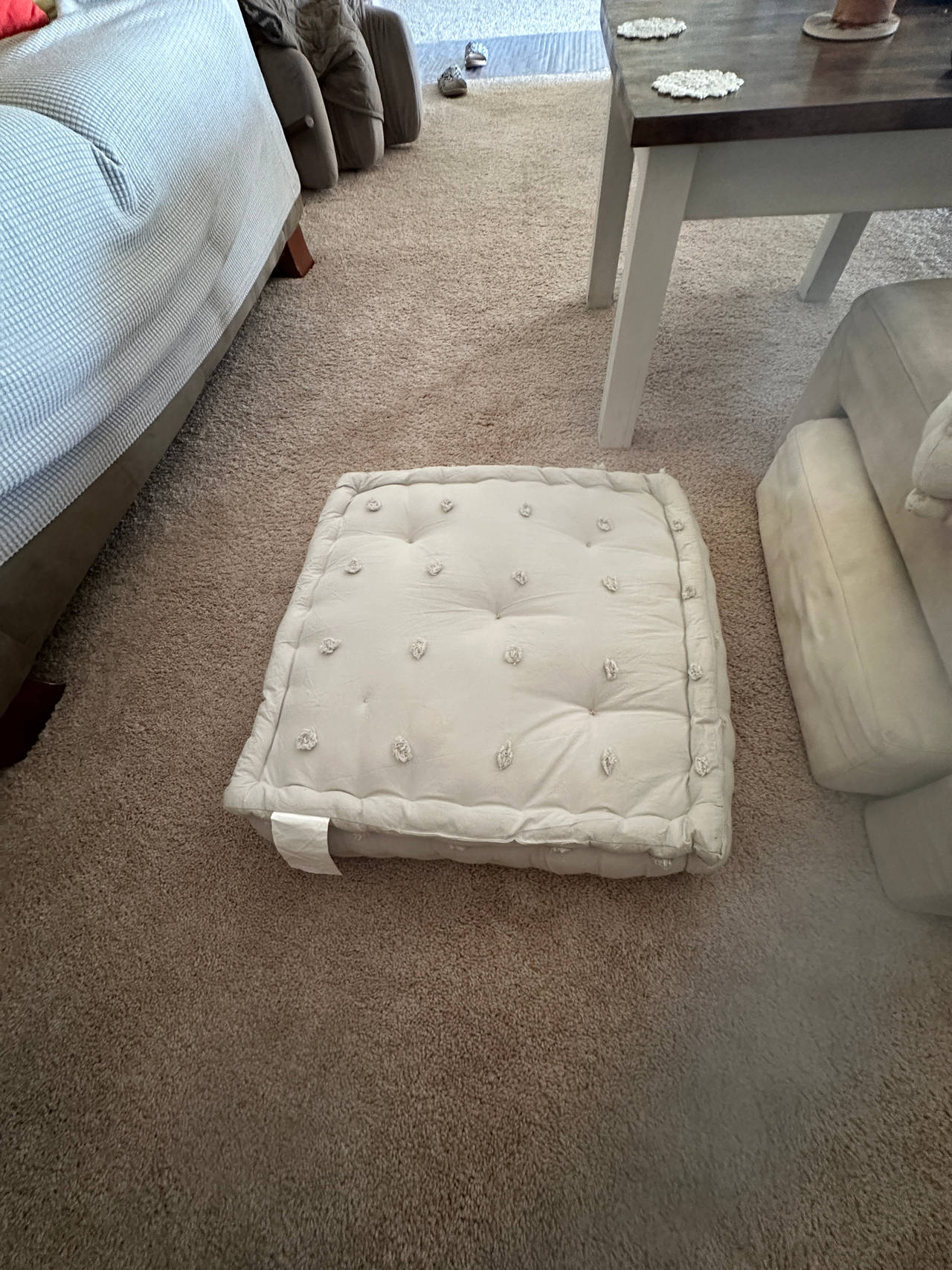 Floor Cushion