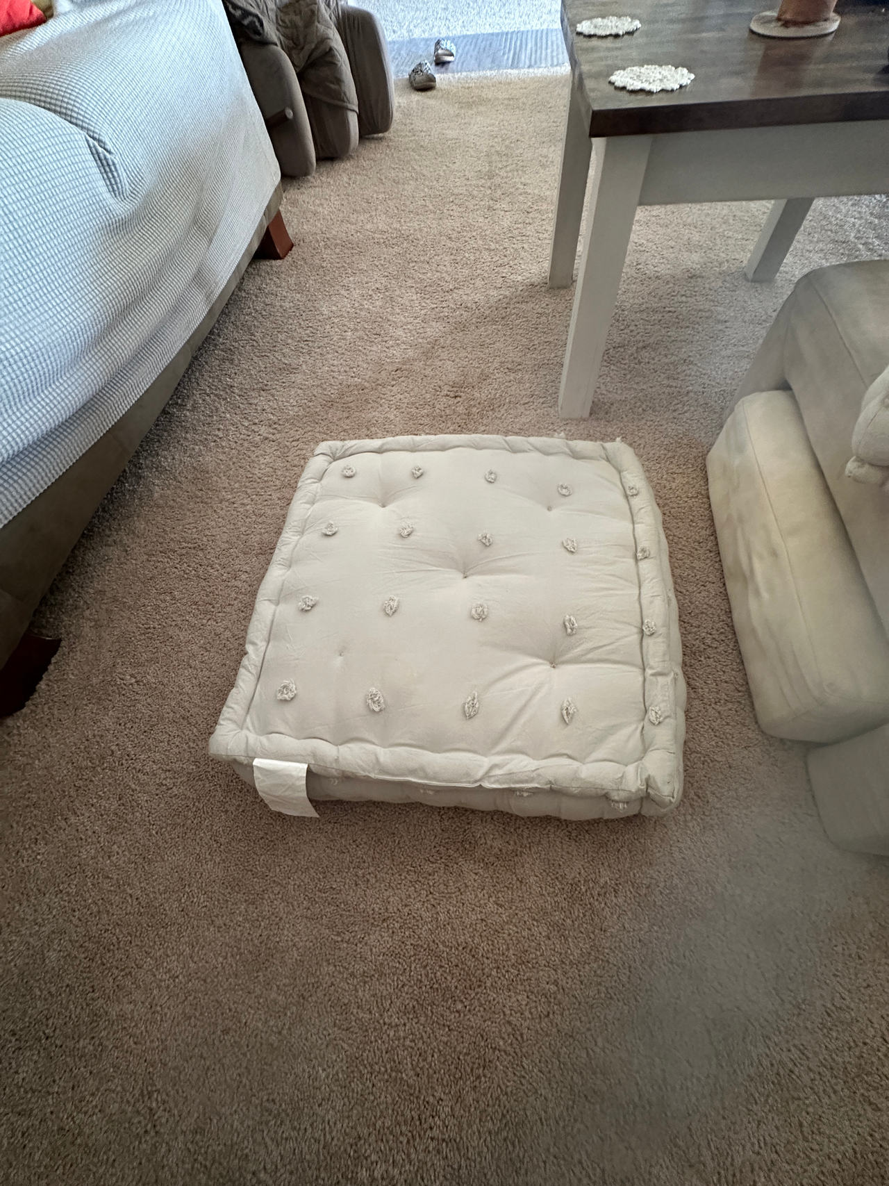 Floor Cushion