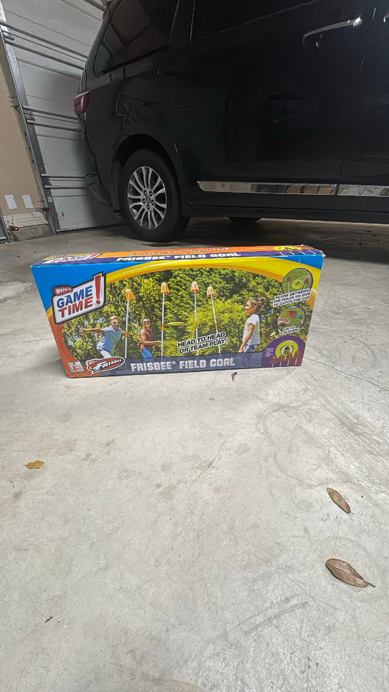 Frisbee Field Goal Game