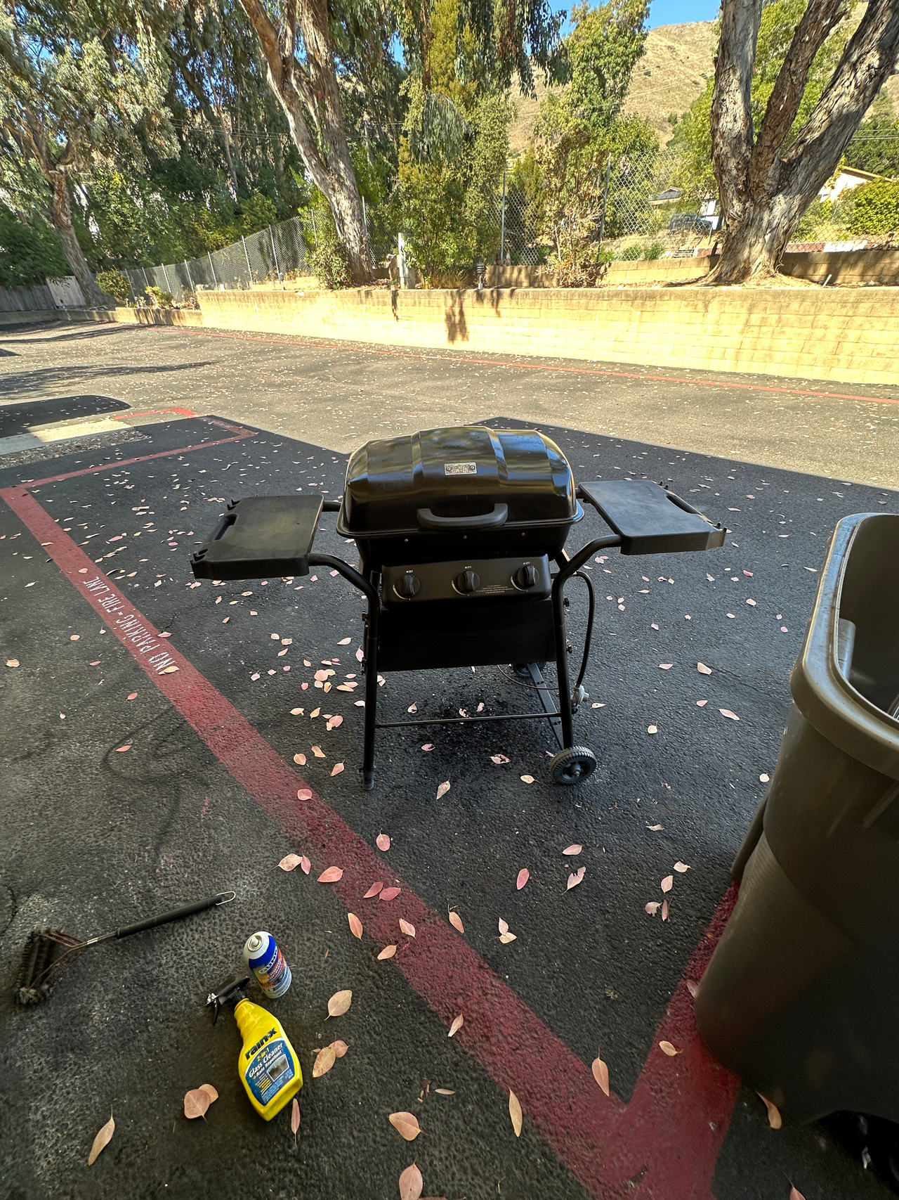 Propane Gas Grill
