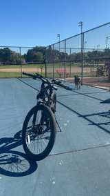 Racer Ultra Step-Over
Full-Suspension
Mountain eBike
 - Image 4