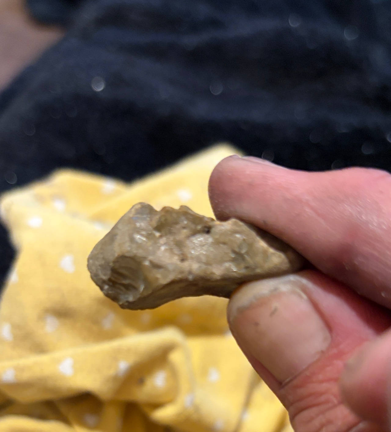 Native American Stone Tool Scraper/Flake