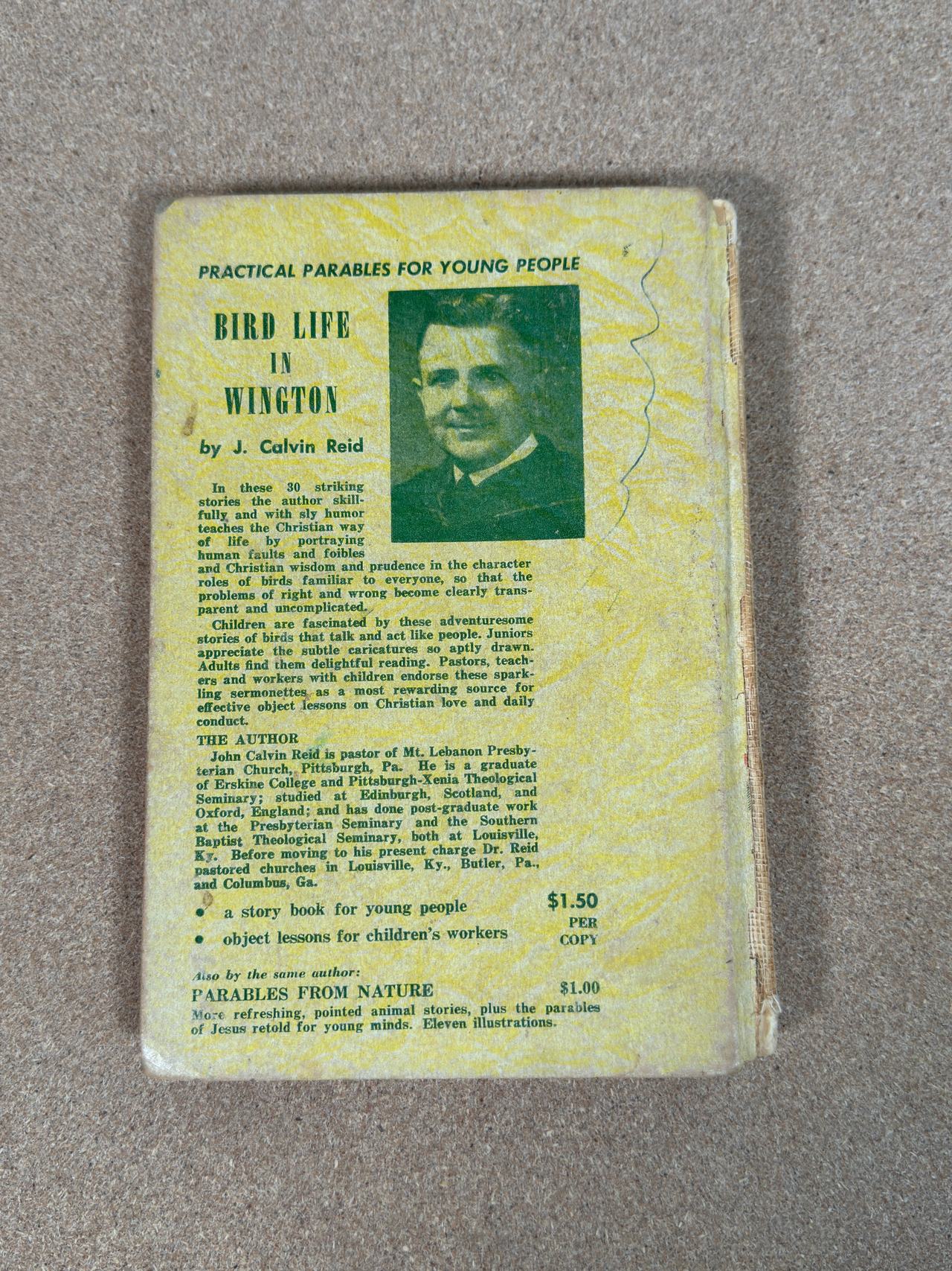 Bird Life in Wington by J. Calvin Reid