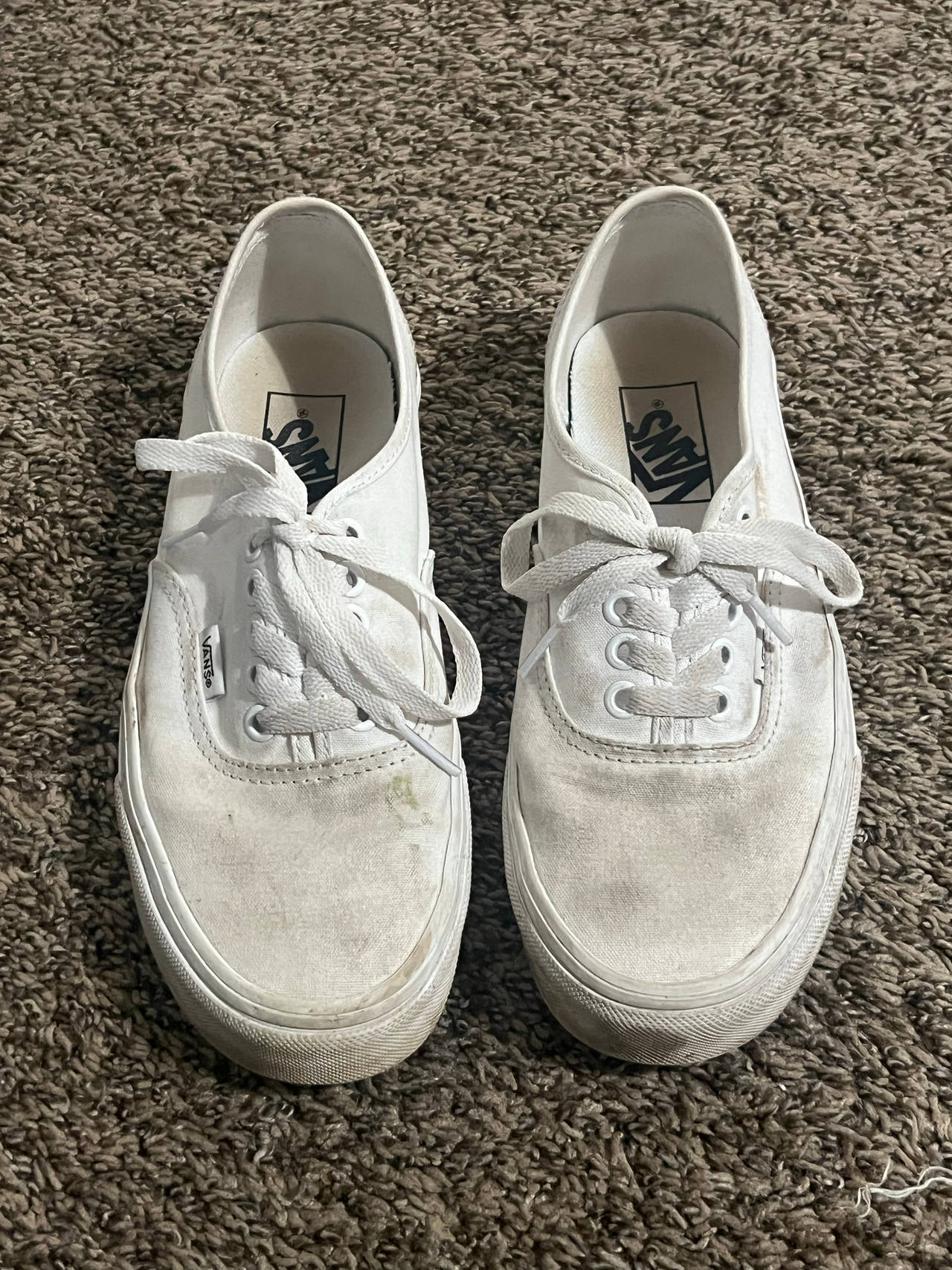 Vans Authentic