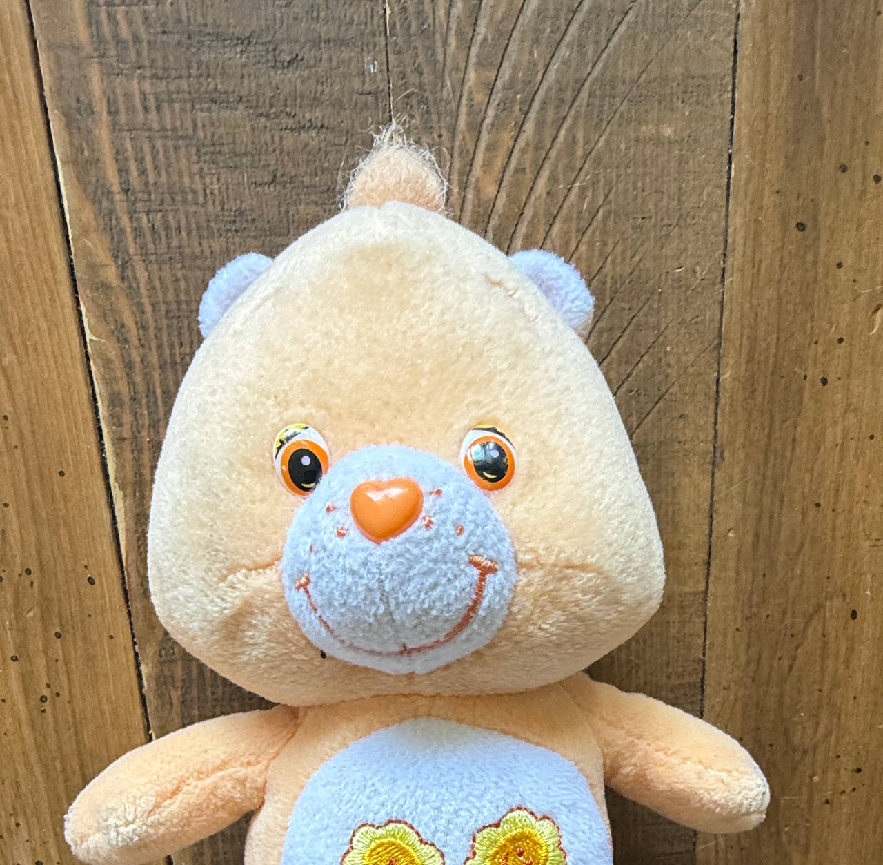 Vintage Care Bears Friend Bear Plush