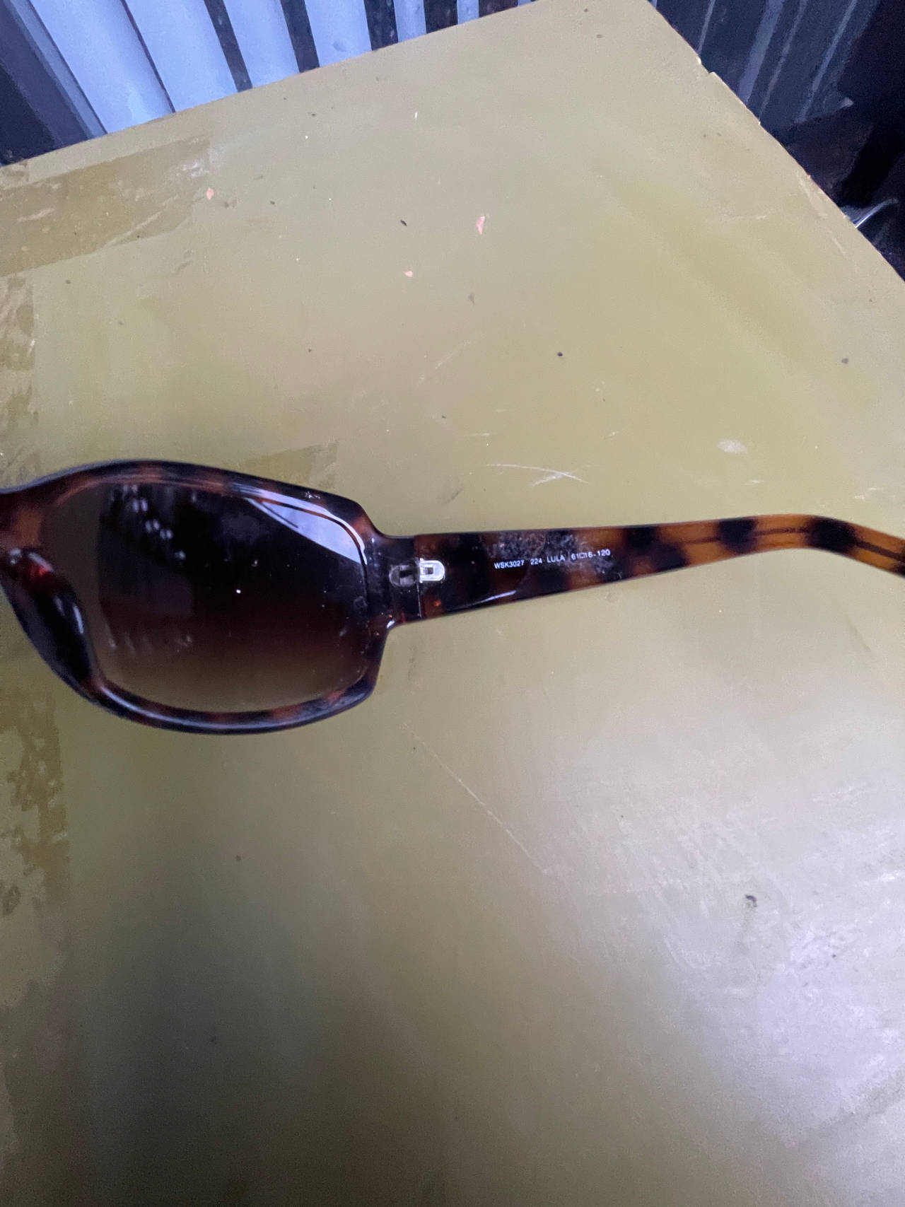 Tortoise Shell Sunglasses