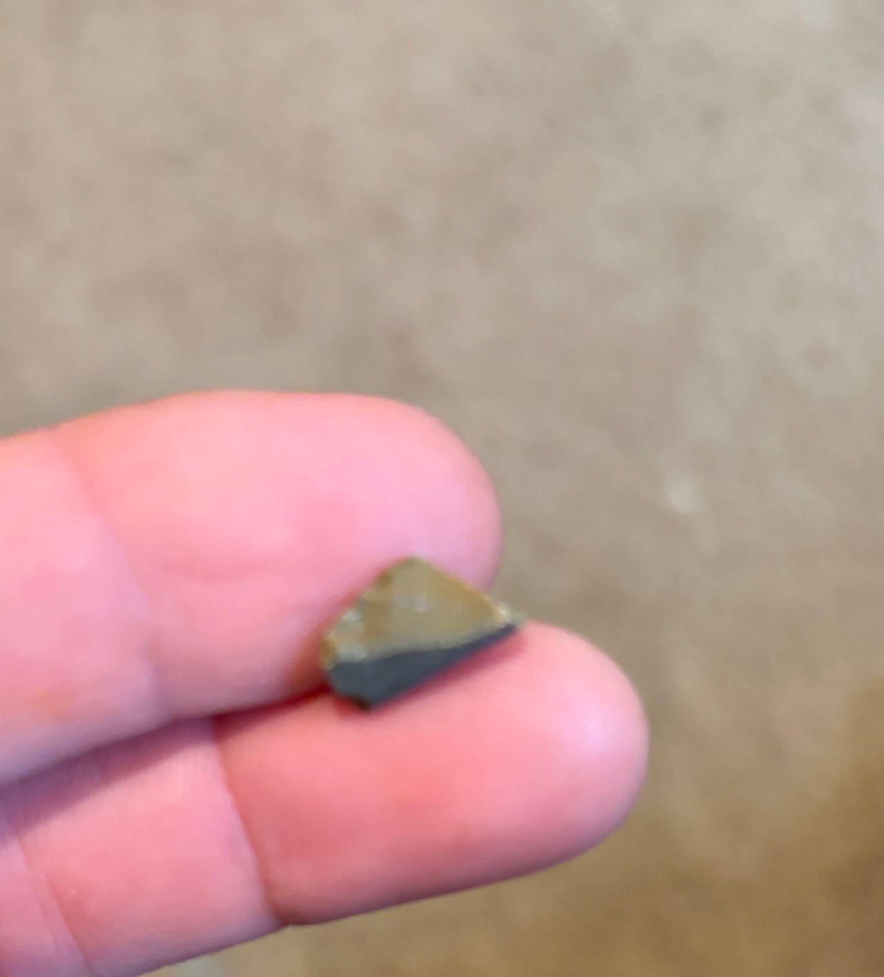 Native American Style Lithic Flake Fragment