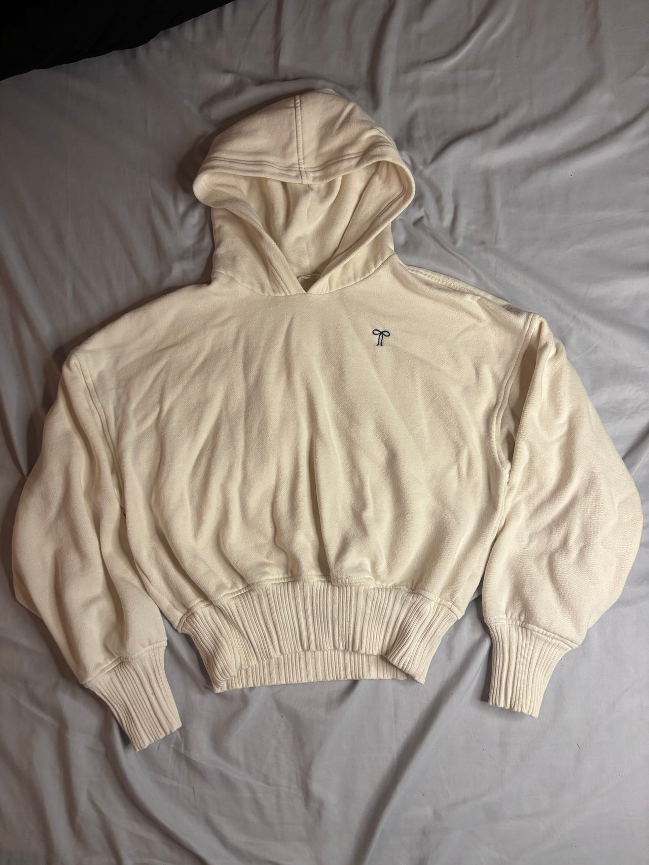 Aerie hoodie