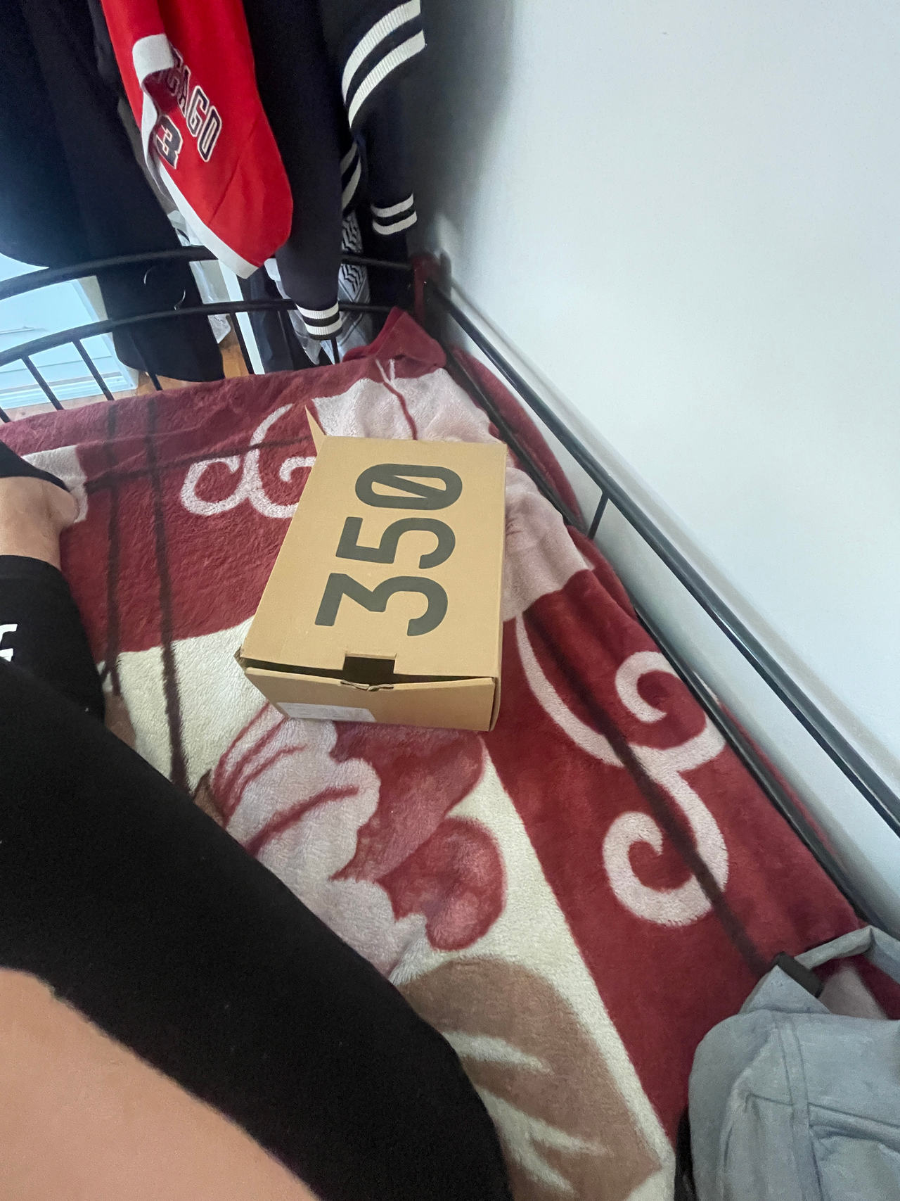 Adidas Yeezy Boost 350
