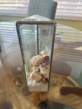Triangular Glass Shell Shadow Box - Image 3