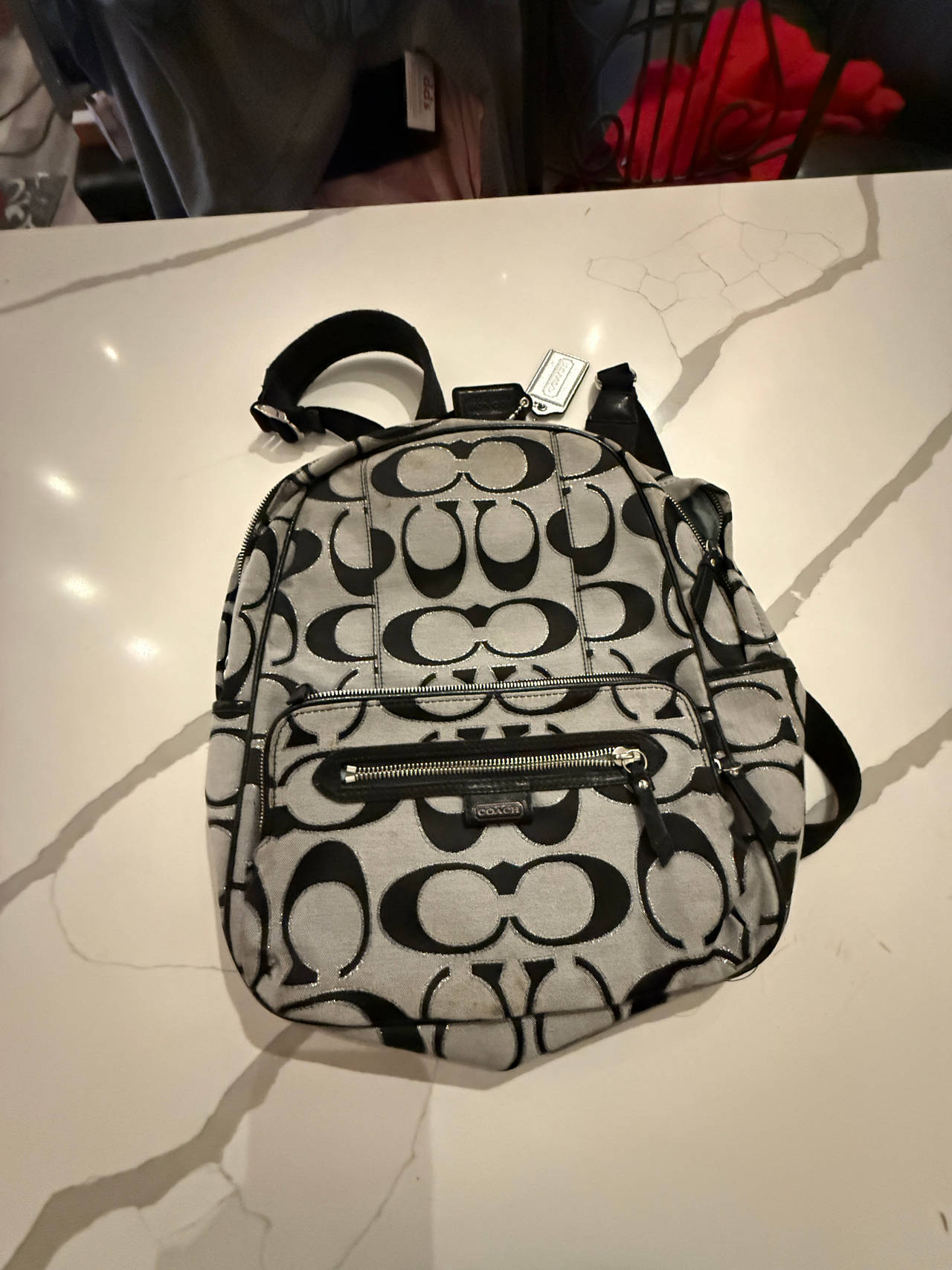 Coach Signature Canvas Backpack