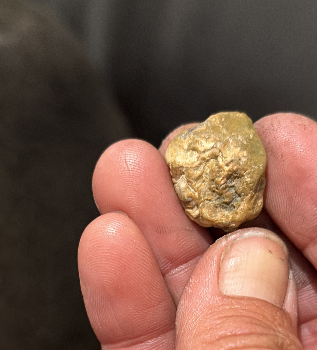 Natural Raw Gold Nugget