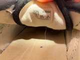 Vans Authentic Cherry Print Black/White Size 10 - Image 4