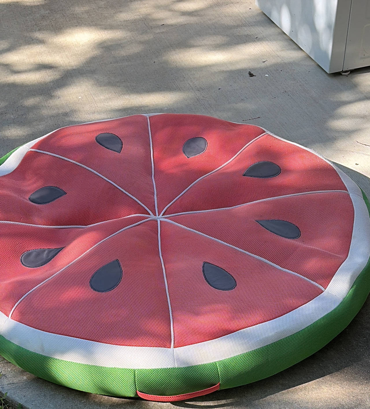 BigMouth Inc. Watermelon Mesh Floor Cushion