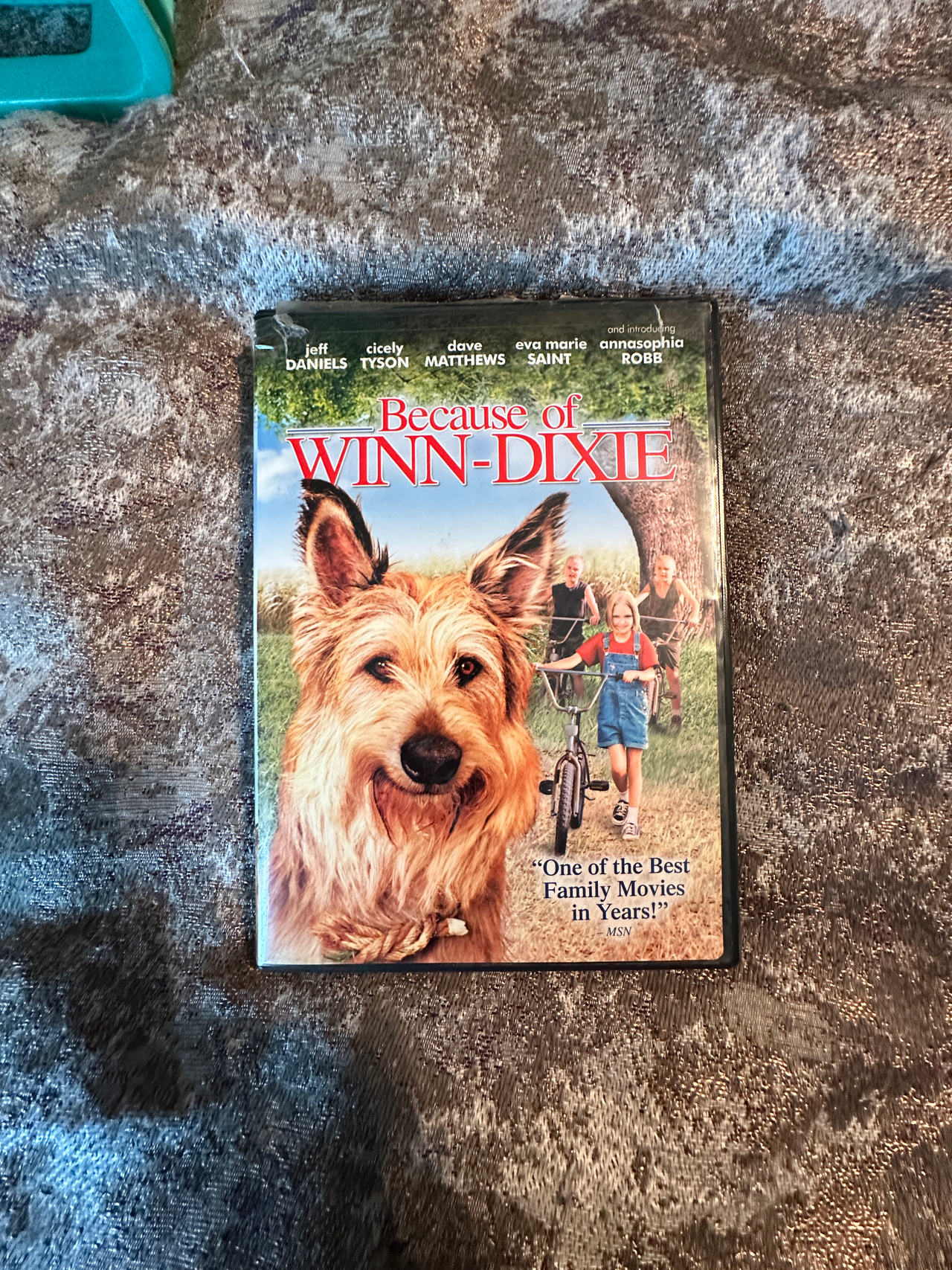 Because of Winn-Dixie