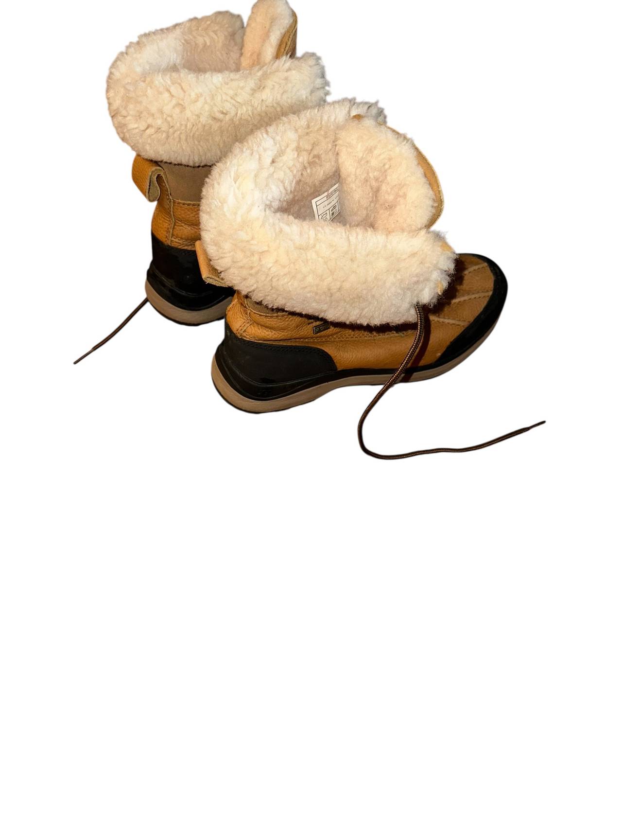 UGG Adirondack III Waterproof Boot