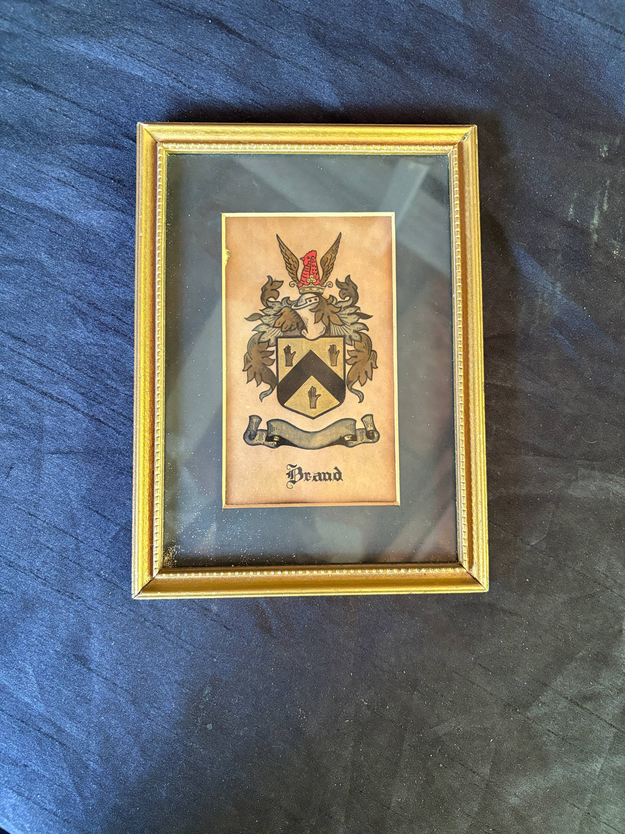 Vintage Framed Family Crest Print “Brand”