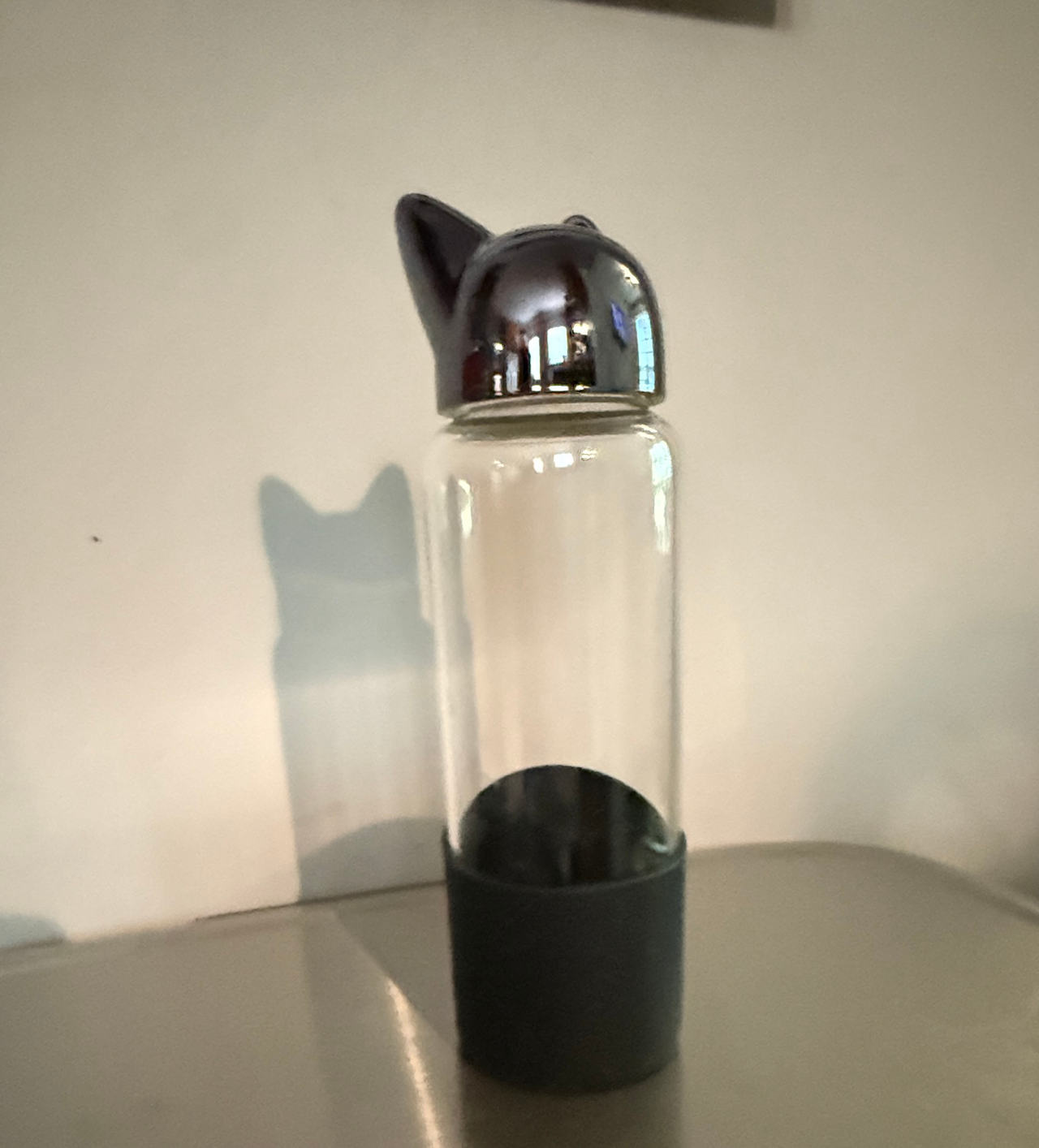 Cat Ear Glass Water Bottle with Silicone Sleeve