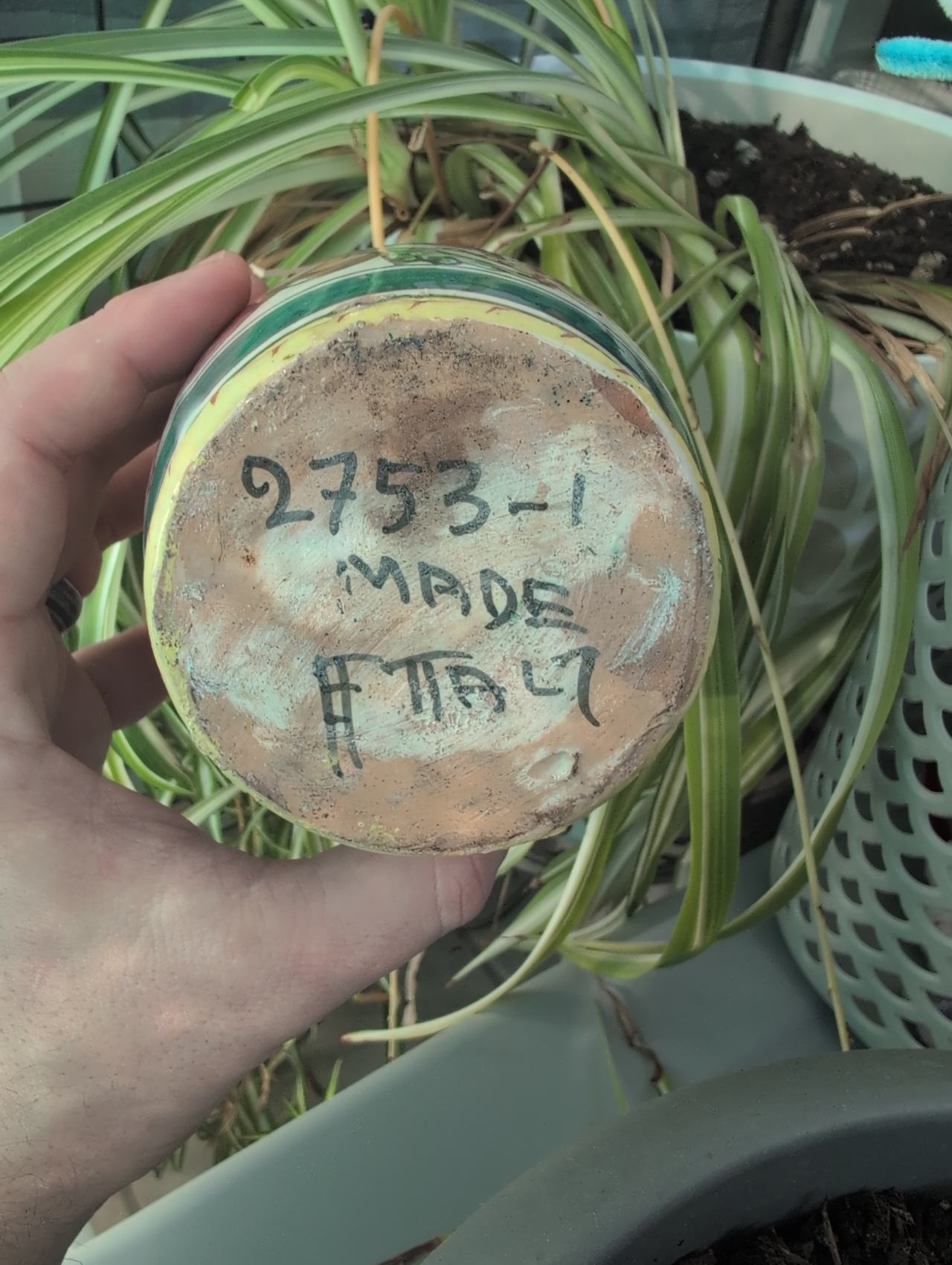 Deruta Raffaellesco Italian Ceramic Pitcher