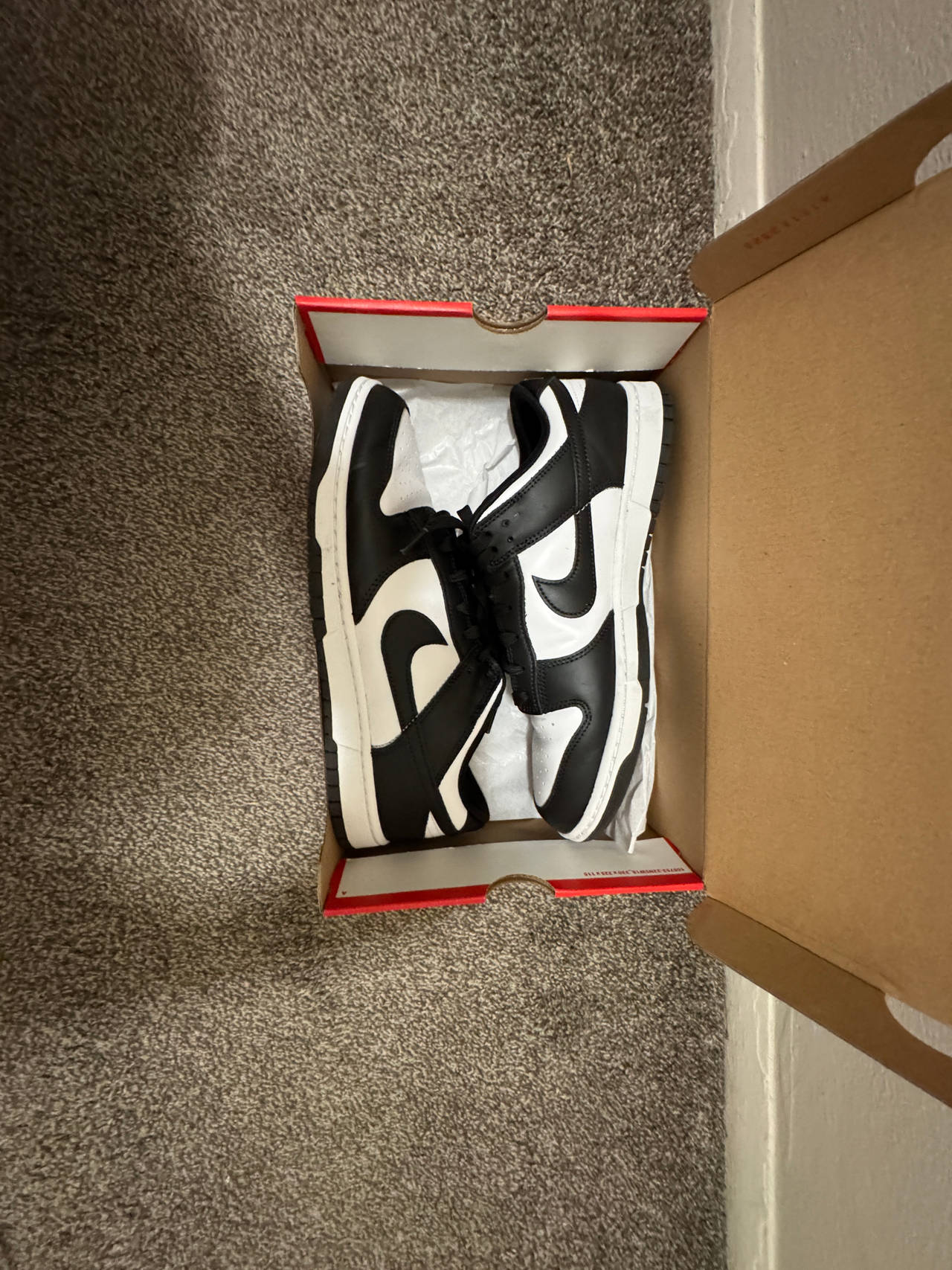 Men’s Nike Dunk Low Size 11