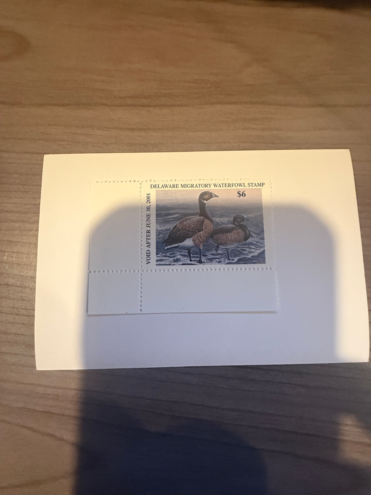 2000 Delaware Duck Stamp Atlantic Brant