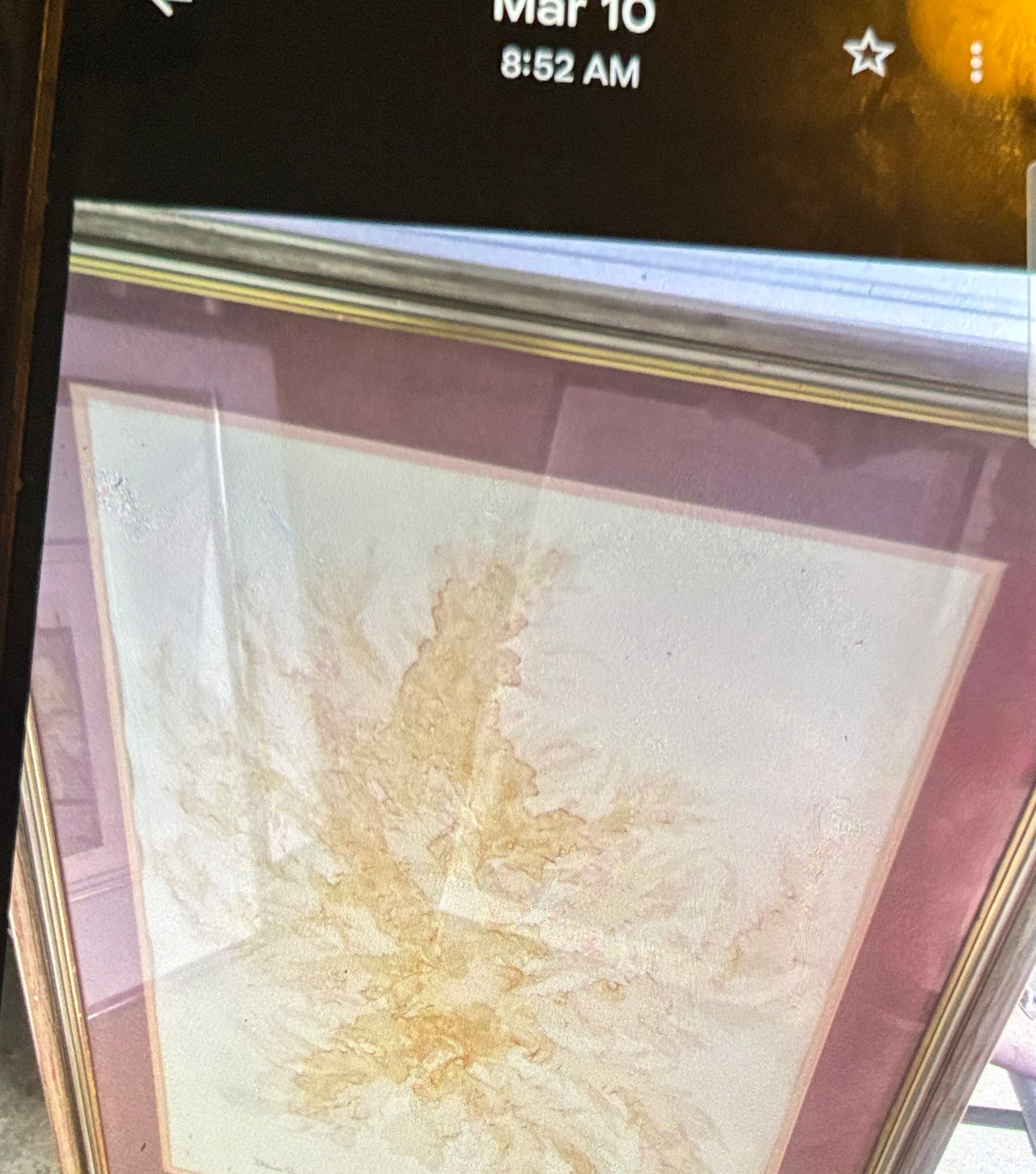 Framed Abstract Coral Wall Art