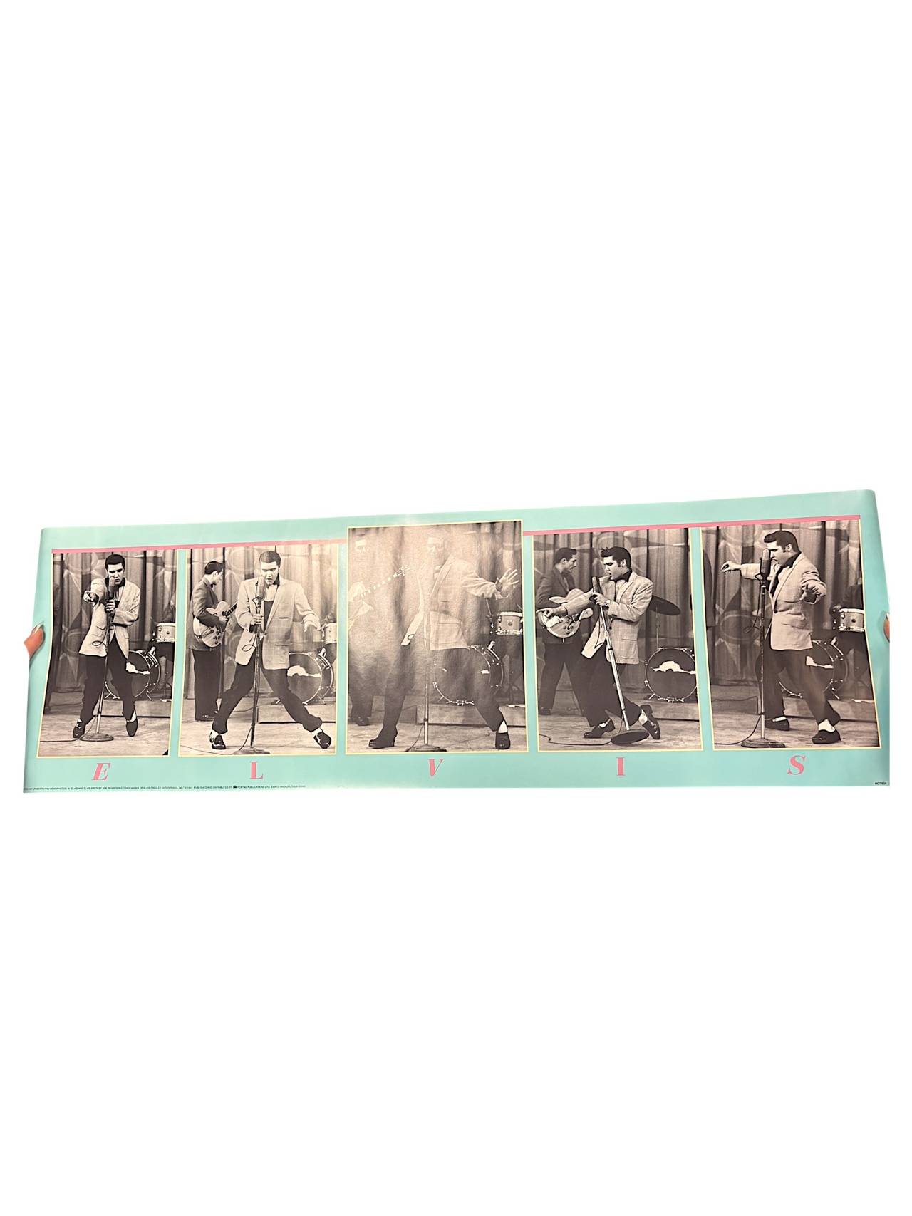 Elvis Presley Panoramic Stage Performance Poster