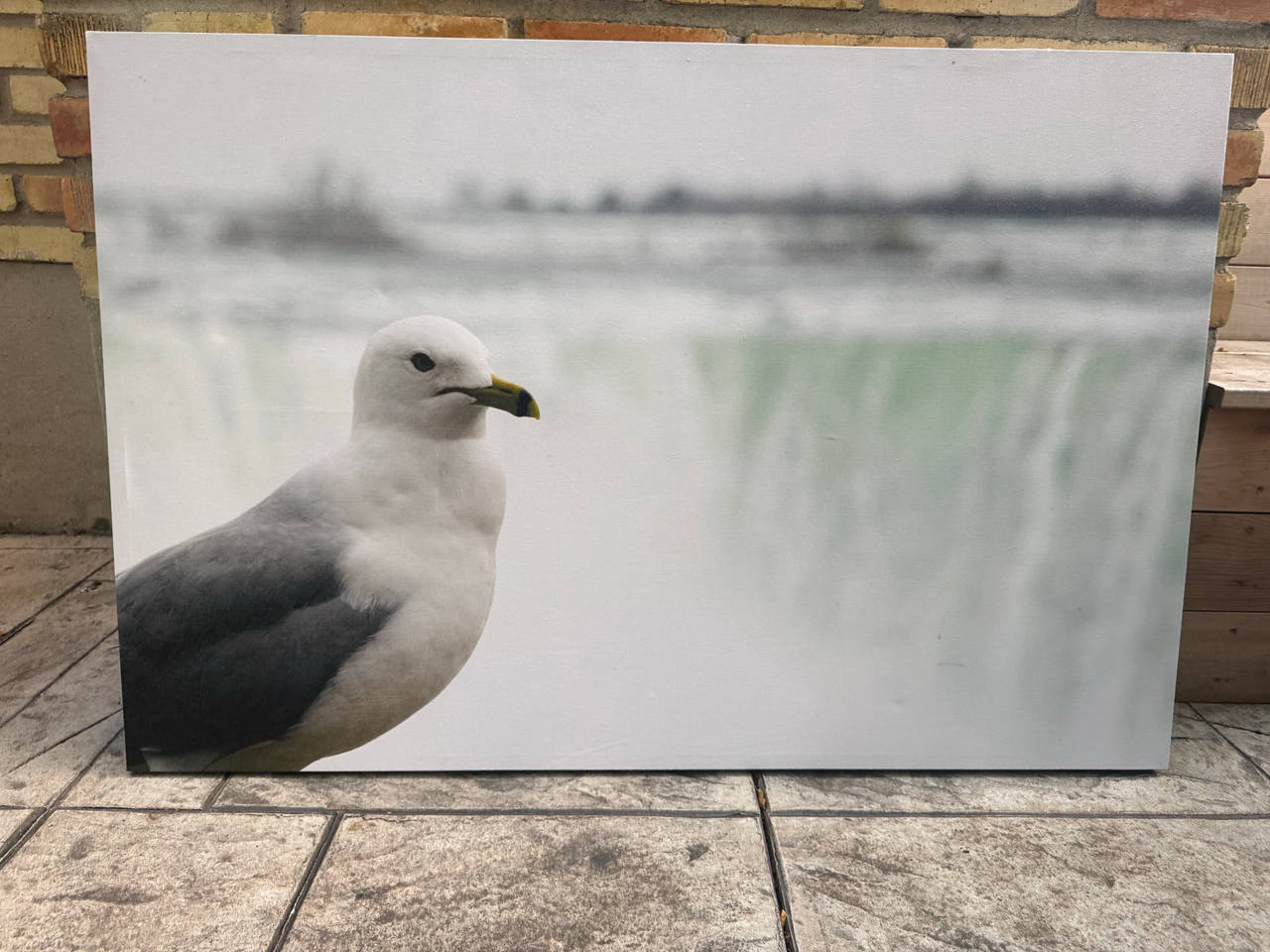 Large Seagull Canvas Wall Art