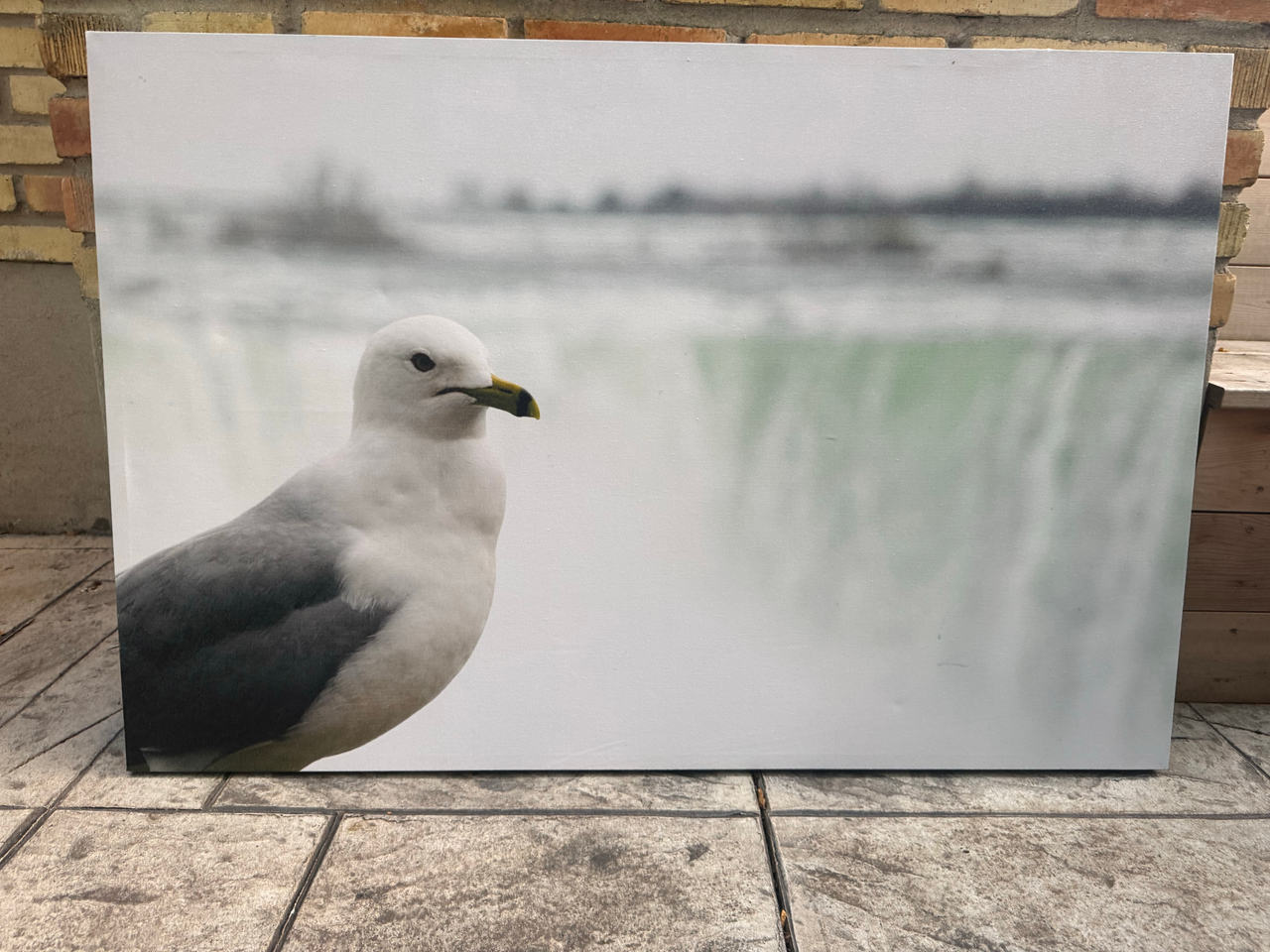 Large Seagull Canvas Wall Art
