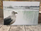 Large Seagull Canvas Wall Art - Image 1