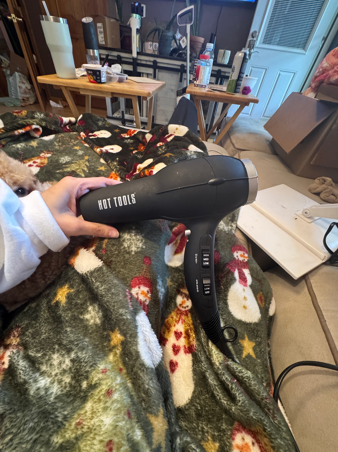 Hot Tools Hair Dryer