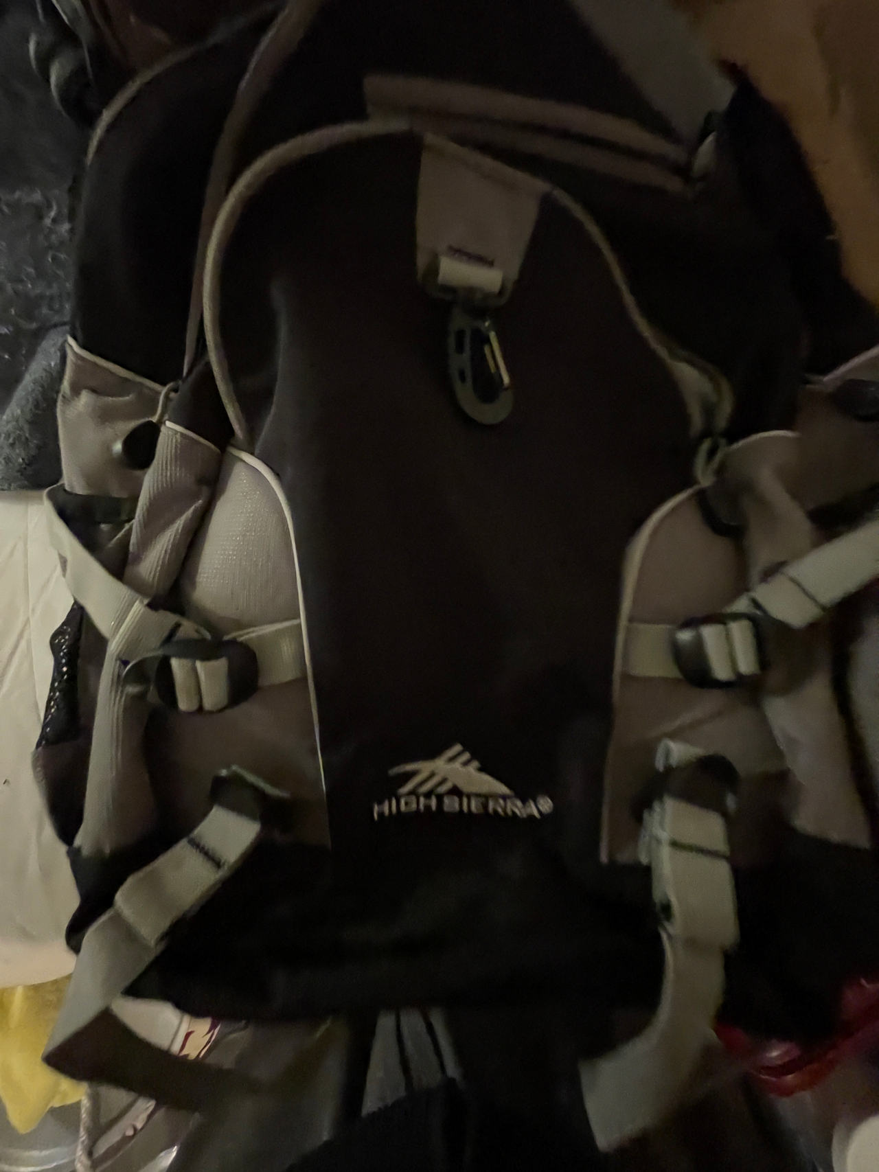 High Sierra Backpack