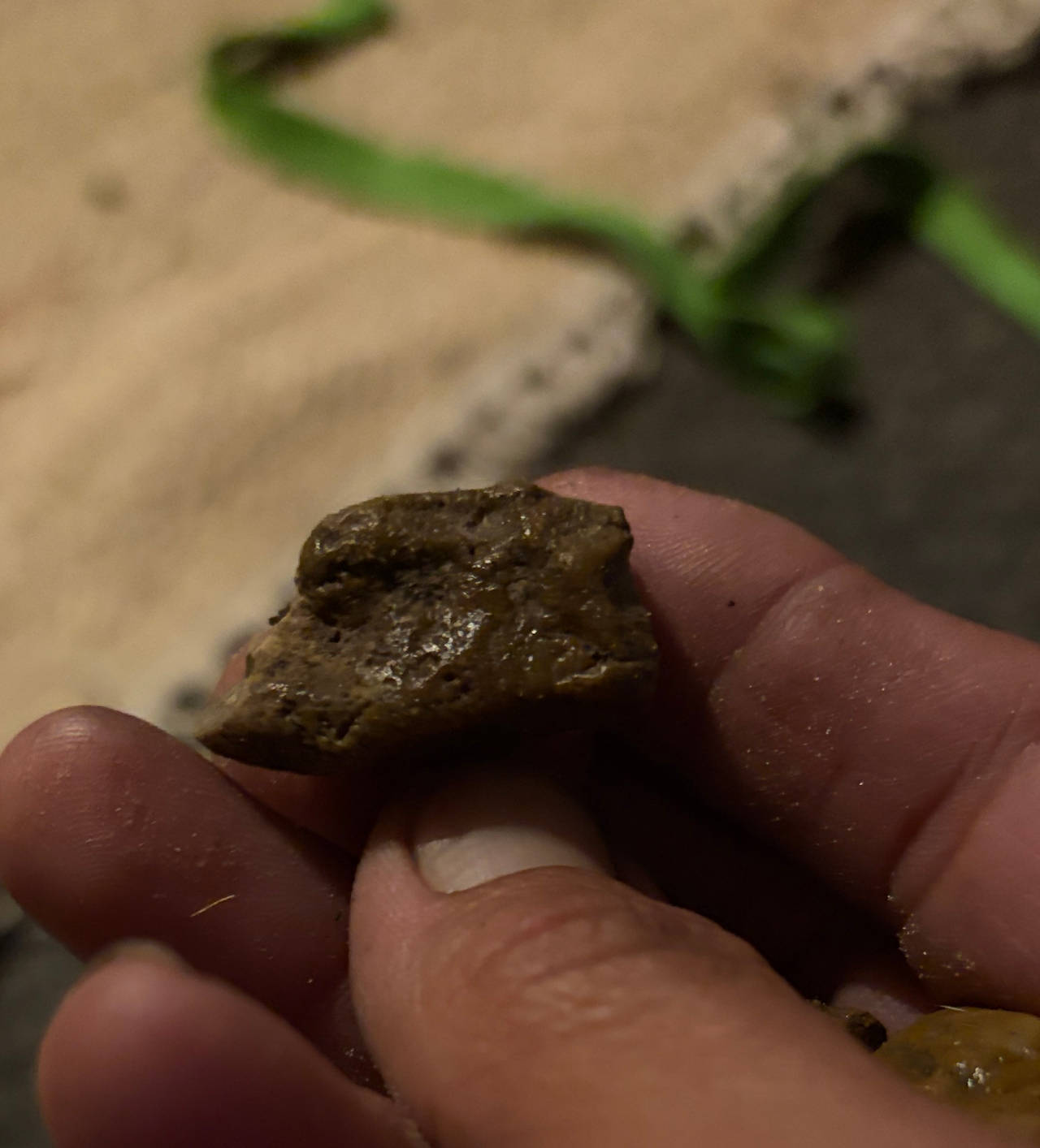 Natural Ambergris Specimen