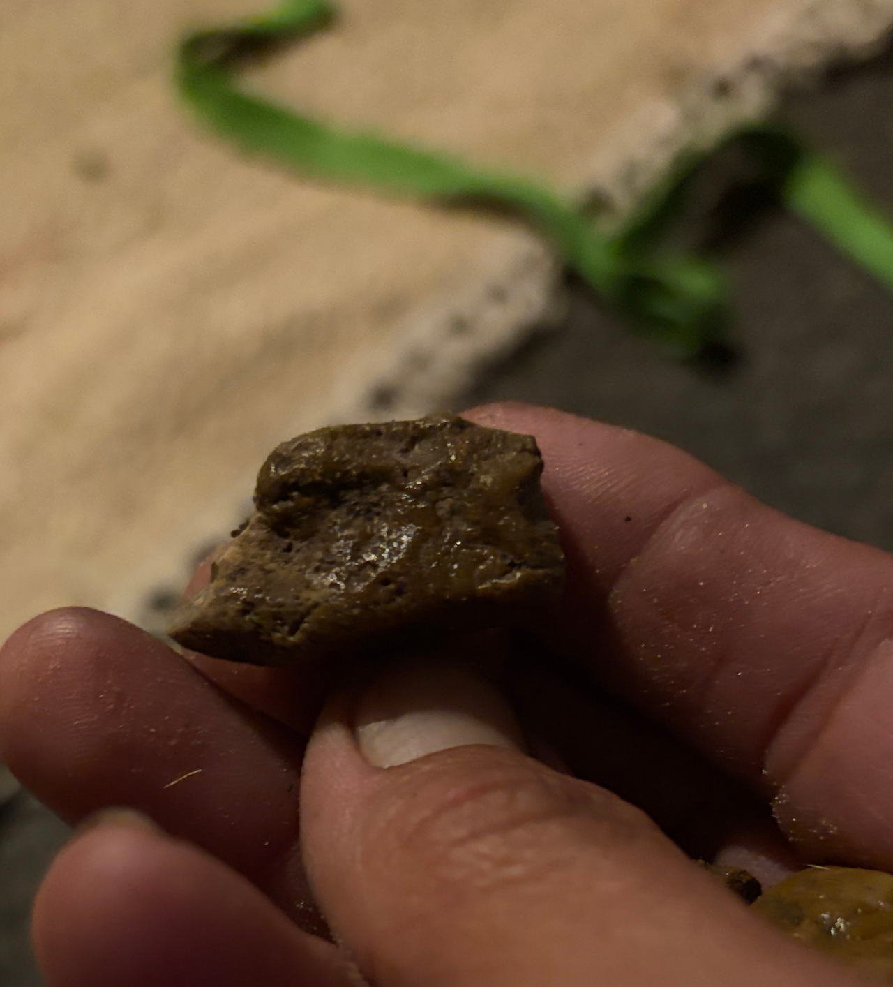 Natural Ambergris Specimen