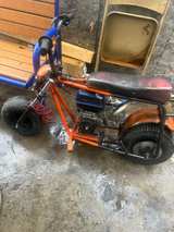 Coleman 212 Predator Mini Bike - Image 1