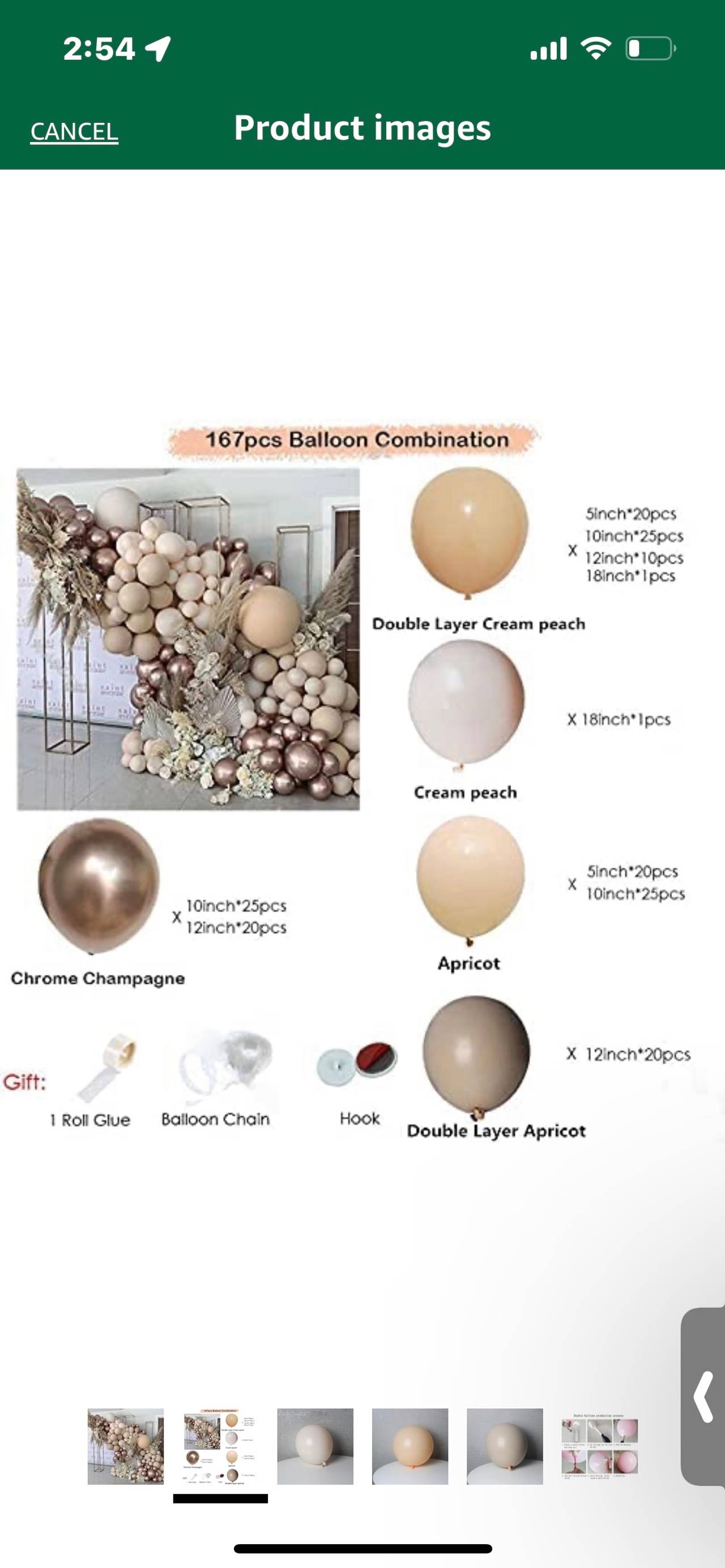 167pcs Champagne Apricot Balloon Arch Kit