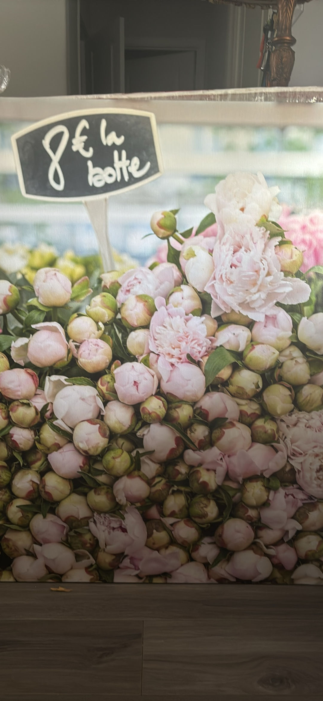 Floral Wall Art Print on canvas Pink Peonies French Market brand new 36h x 30w