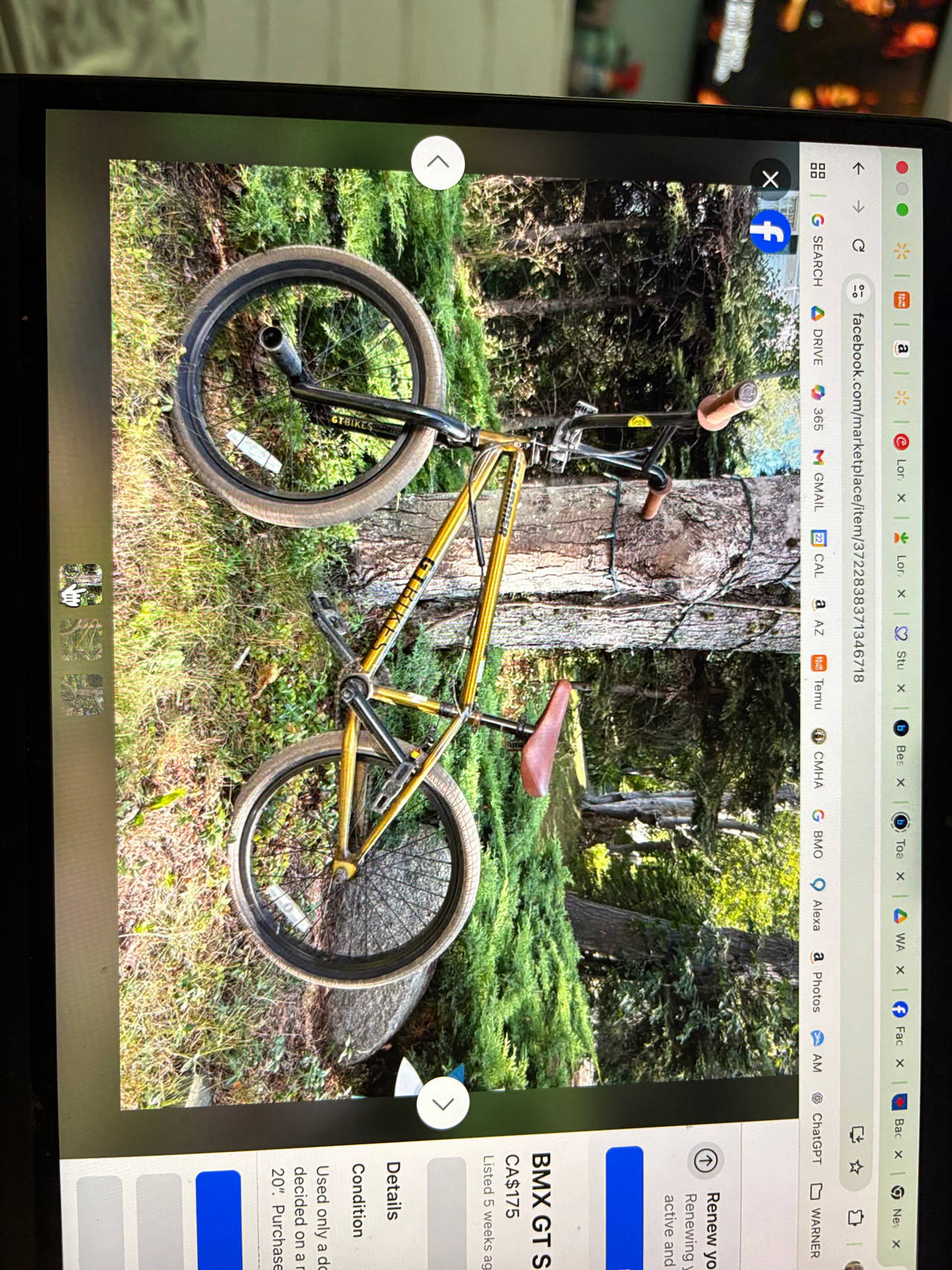GT BMX Bike Gold